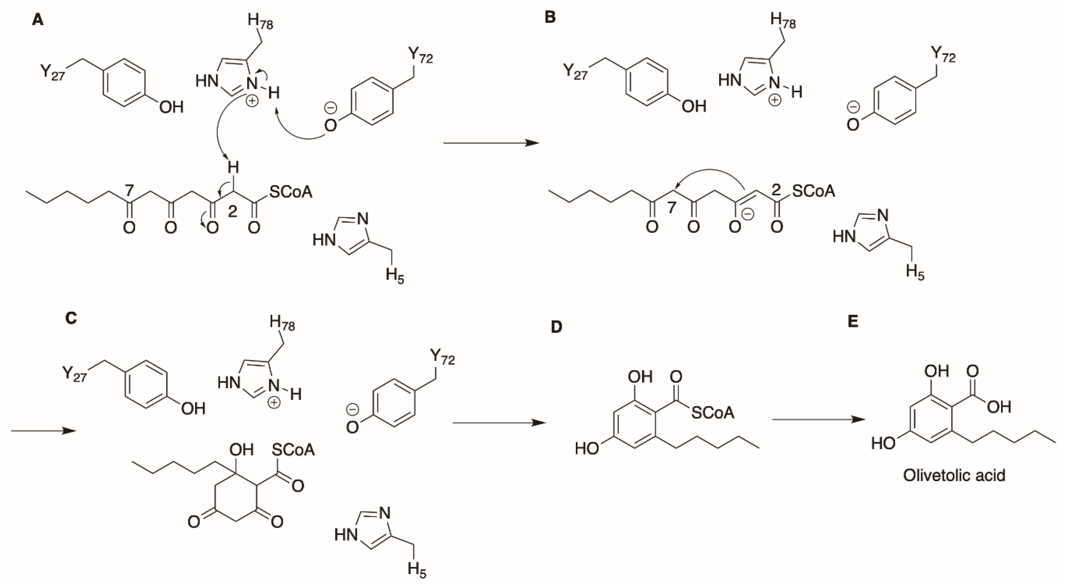 Molecules 26 02914 g004