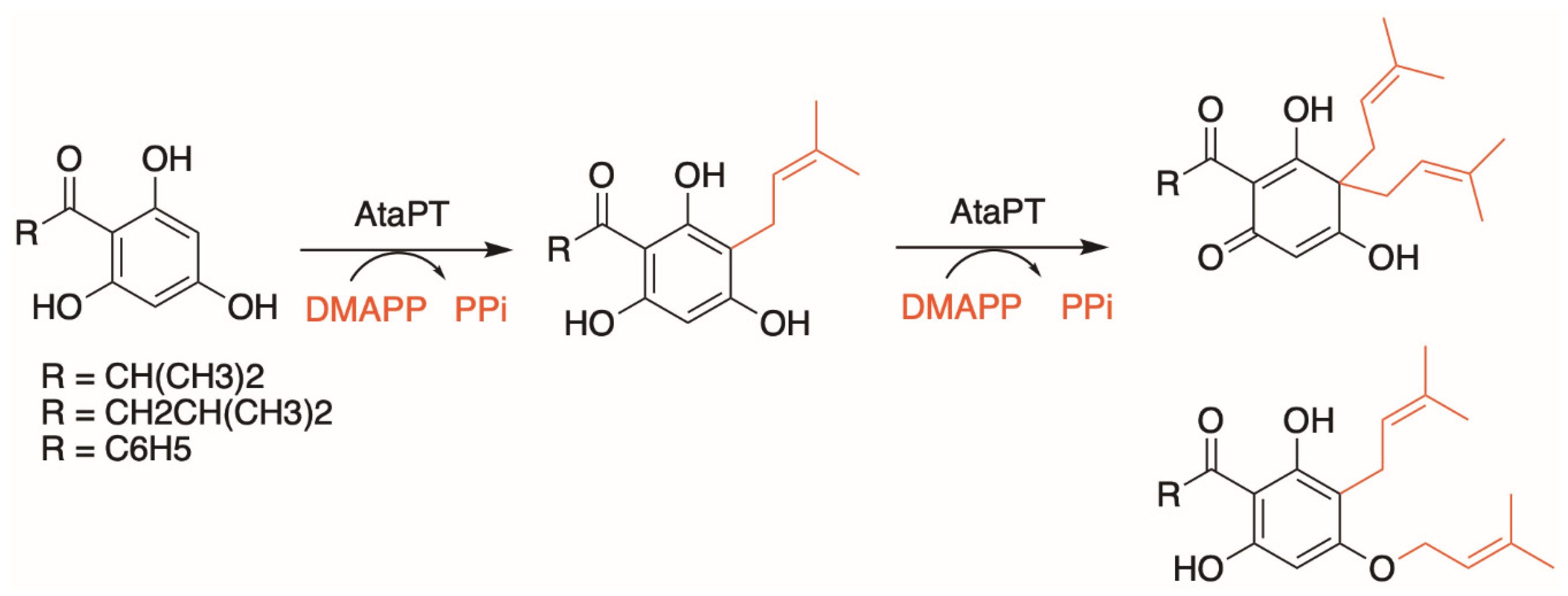 Molecules 26 02914 g006