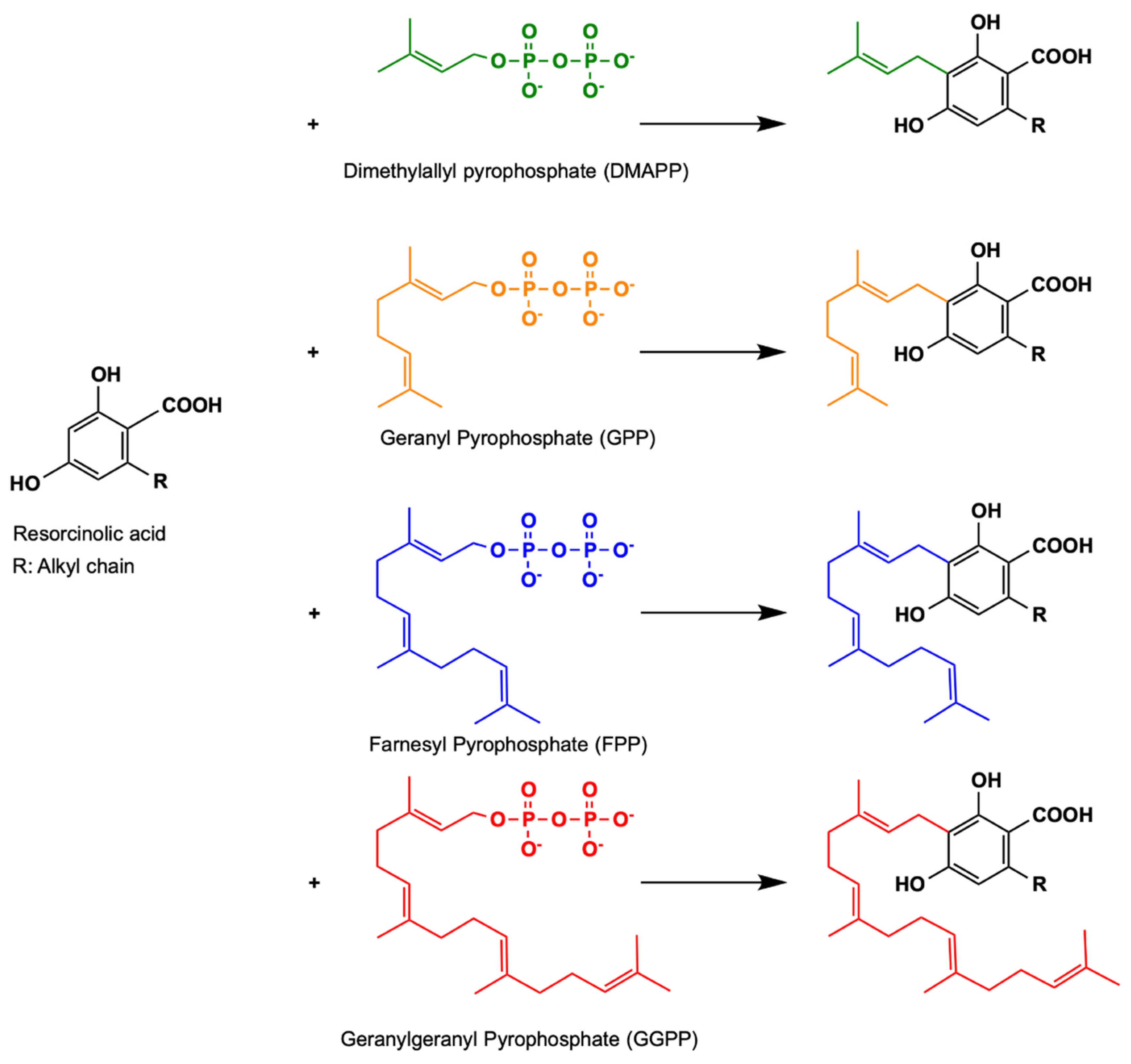 Molecules 26 02914 g009