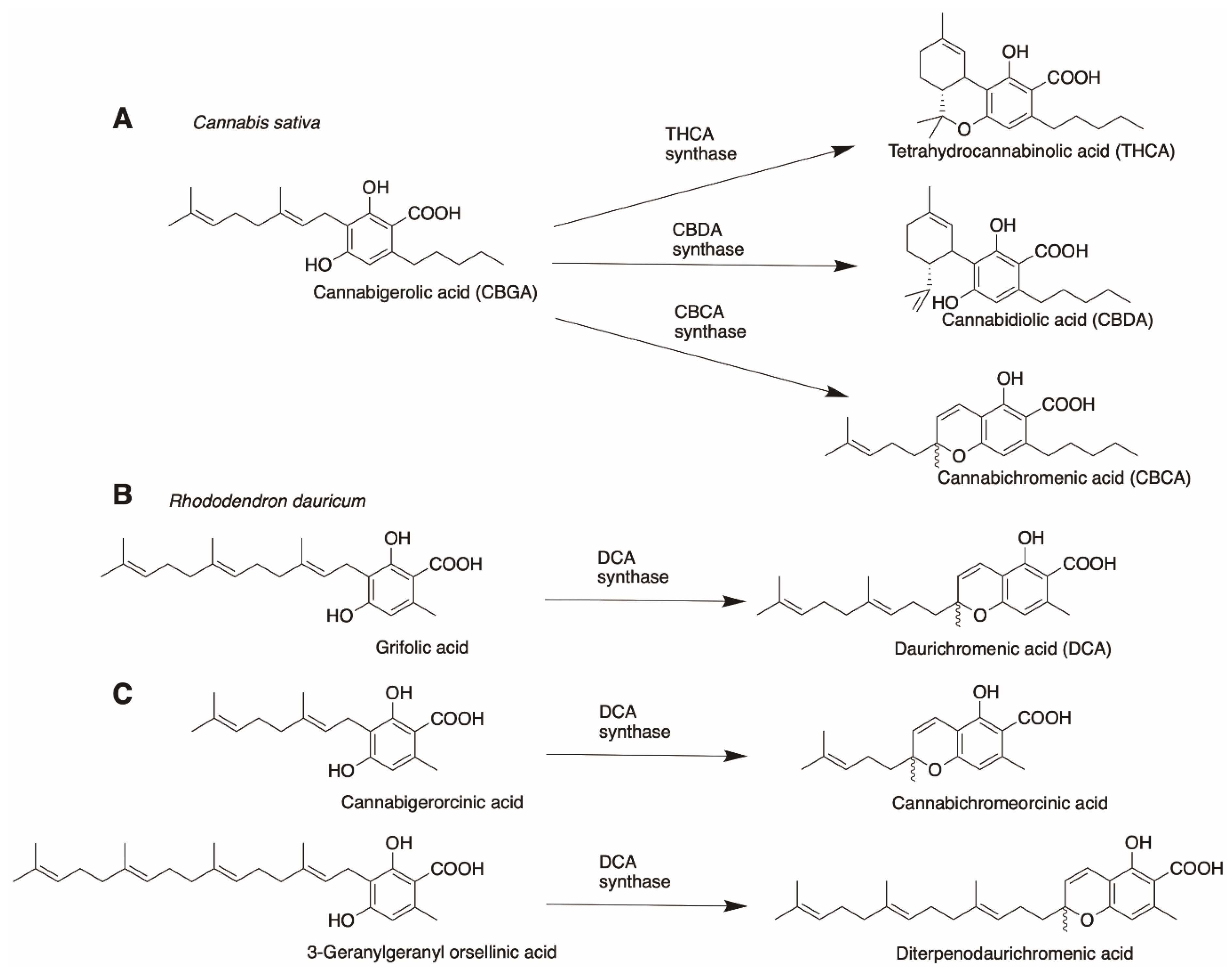 Molecules 26 02914 g013