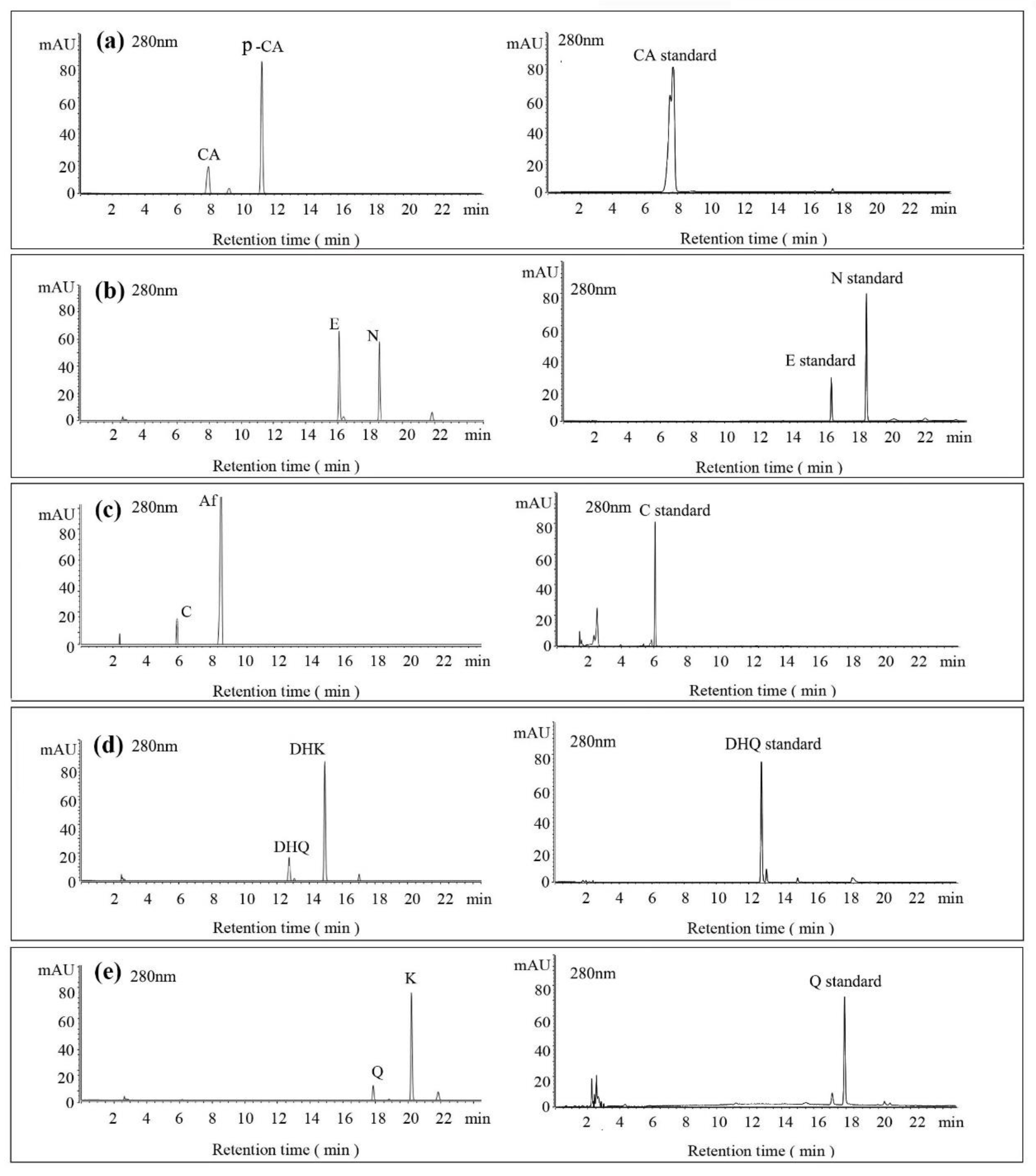 Molecules 26 02919 g006 Molecules 26 02919 g006