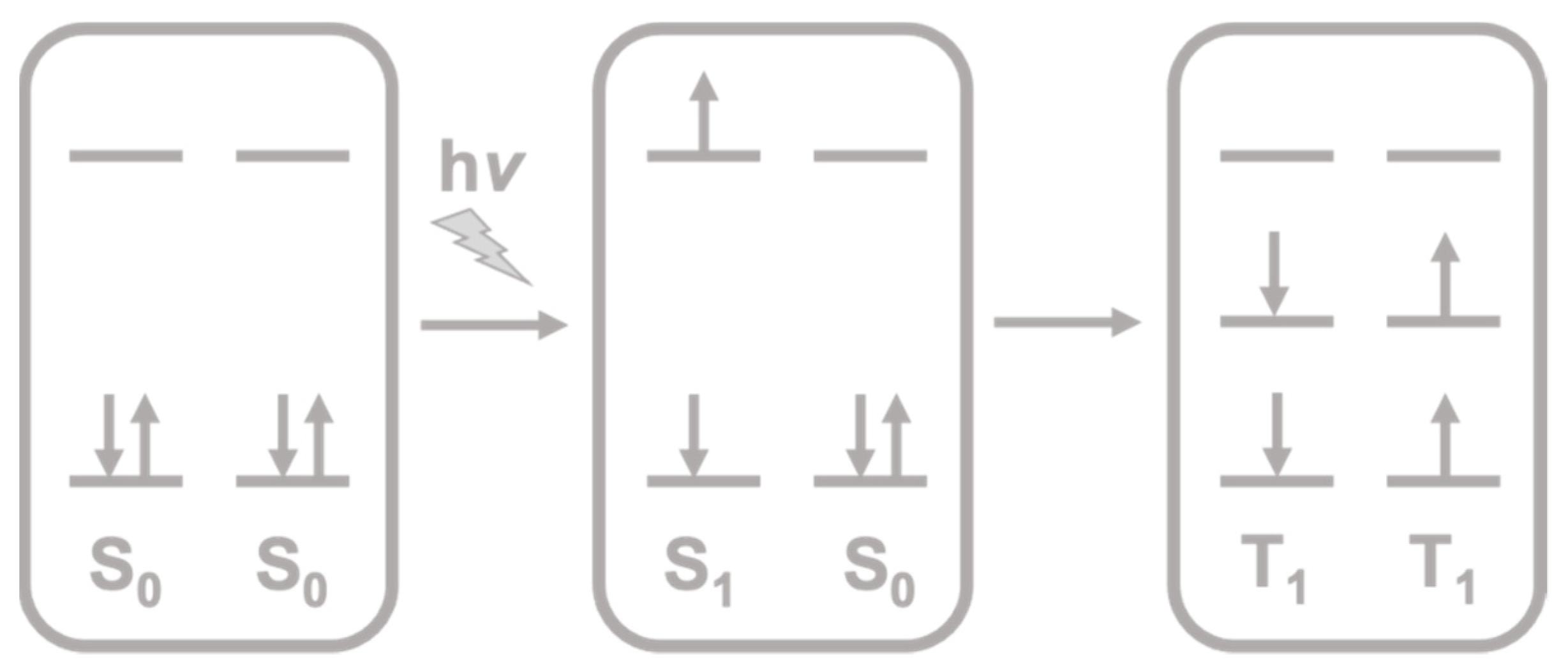 Molecules 26 02922 g001 Molecules 26 02922 g001