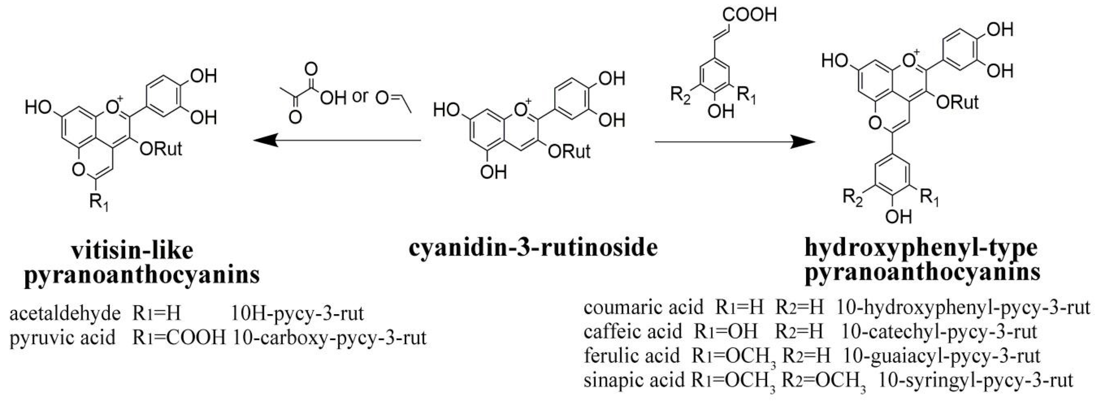 Molecules 26 02923 g006 Molecules 26 02923 g006