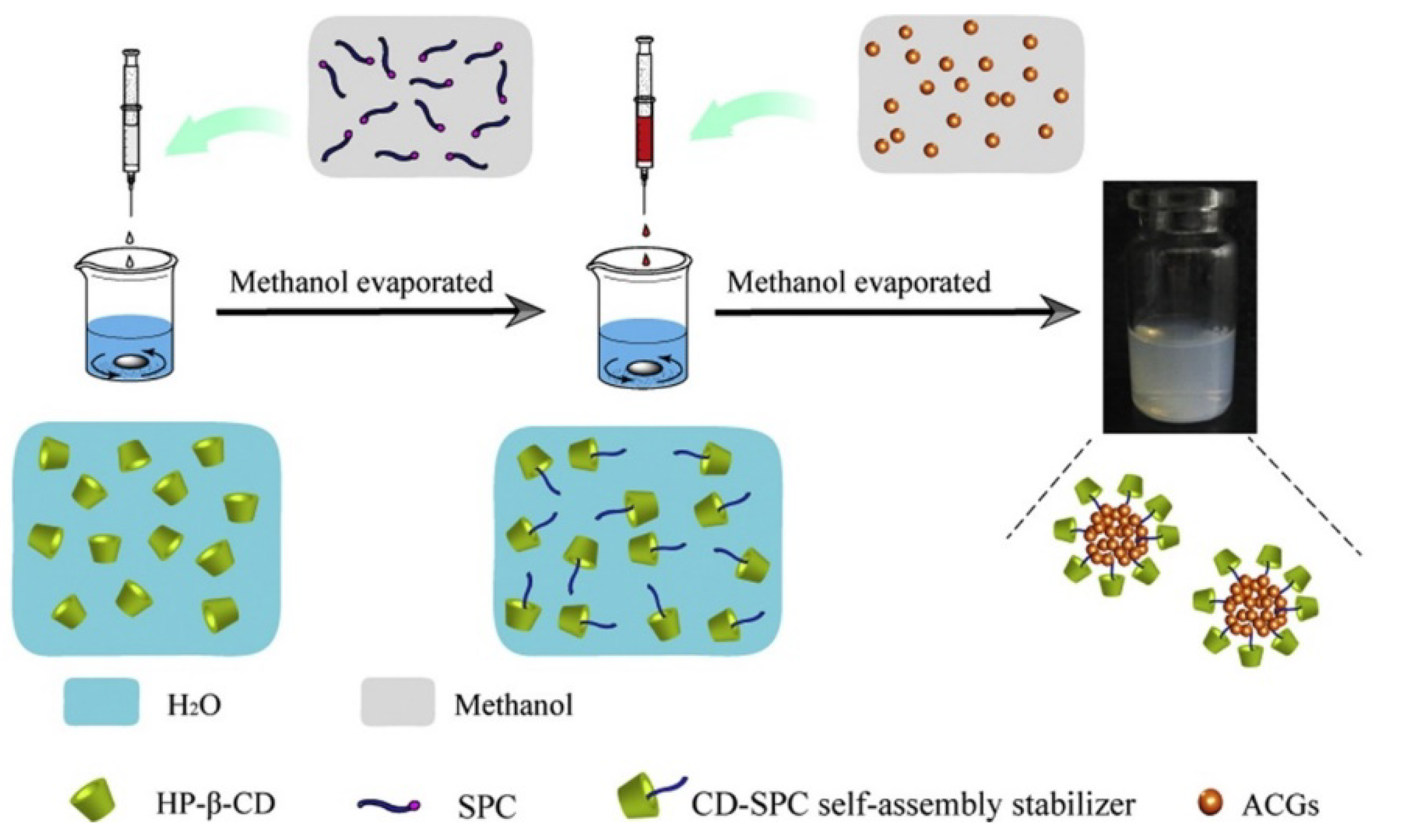Molecules 26 02926 g004 Molecules 26 02926 g004