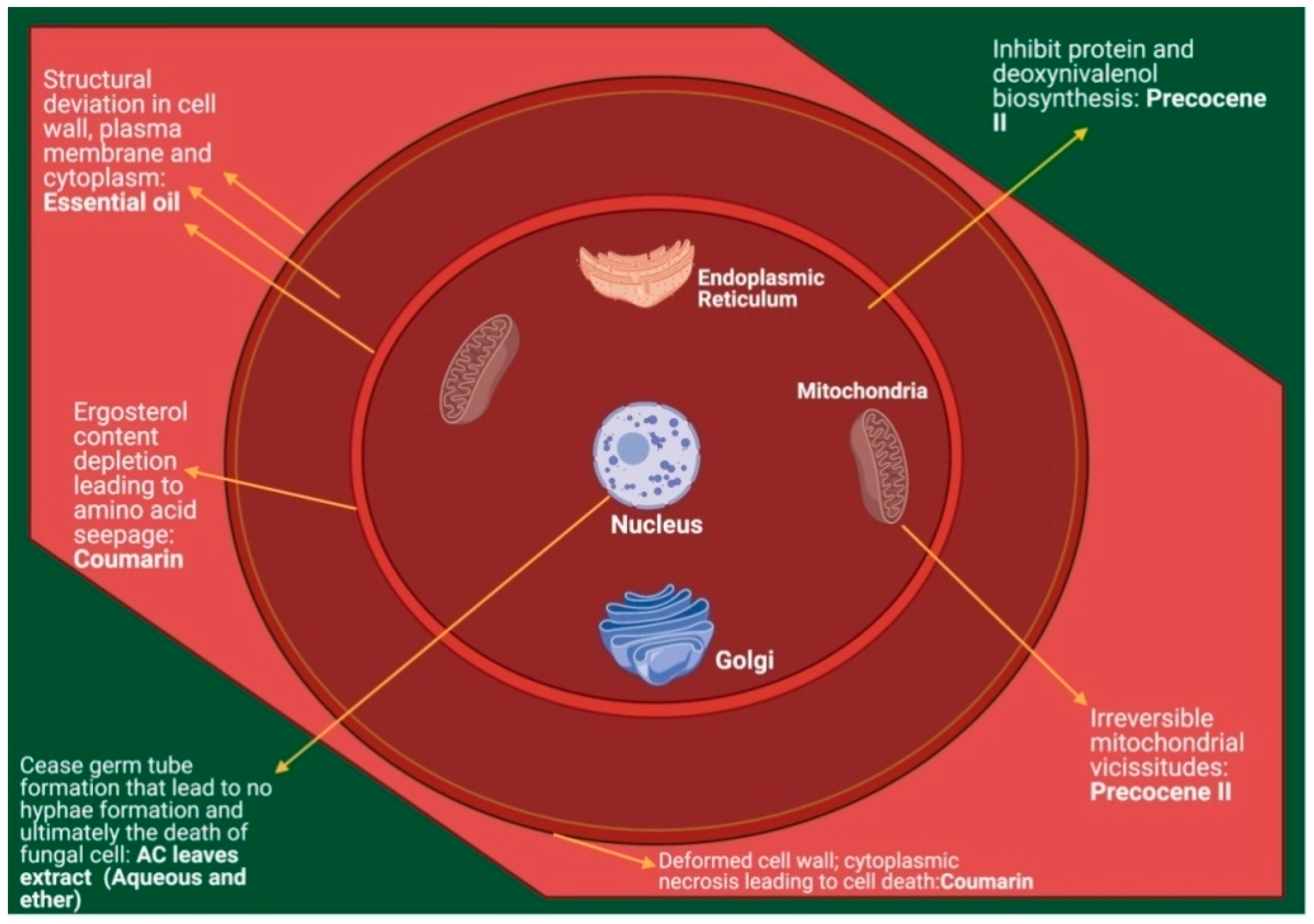 Molecules 26 02933 g004 Molecules 26 02933 g004