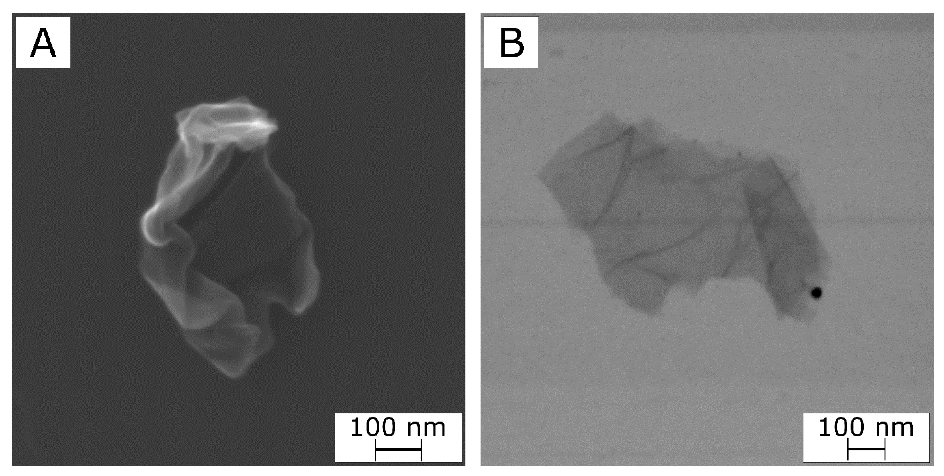 Molecules 26 02938 g001 Molecules 26 02938 g001