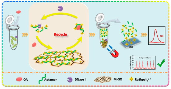 Molecules Free Full Text Electrochemical Biosensors In Food Safety Challenges And Perspectives Html