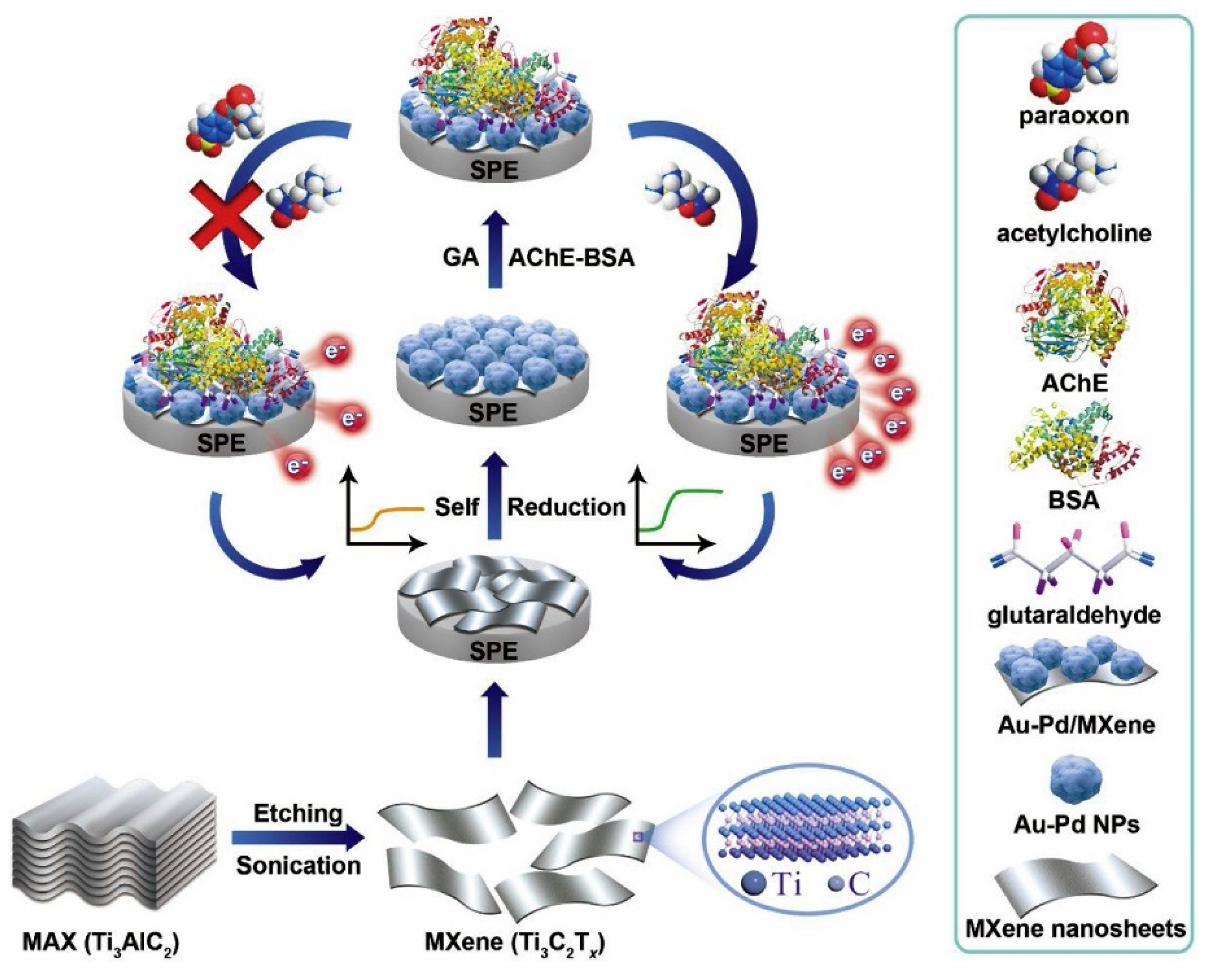 Molecules 26 02940 g008 Molecules 26 02940 g008