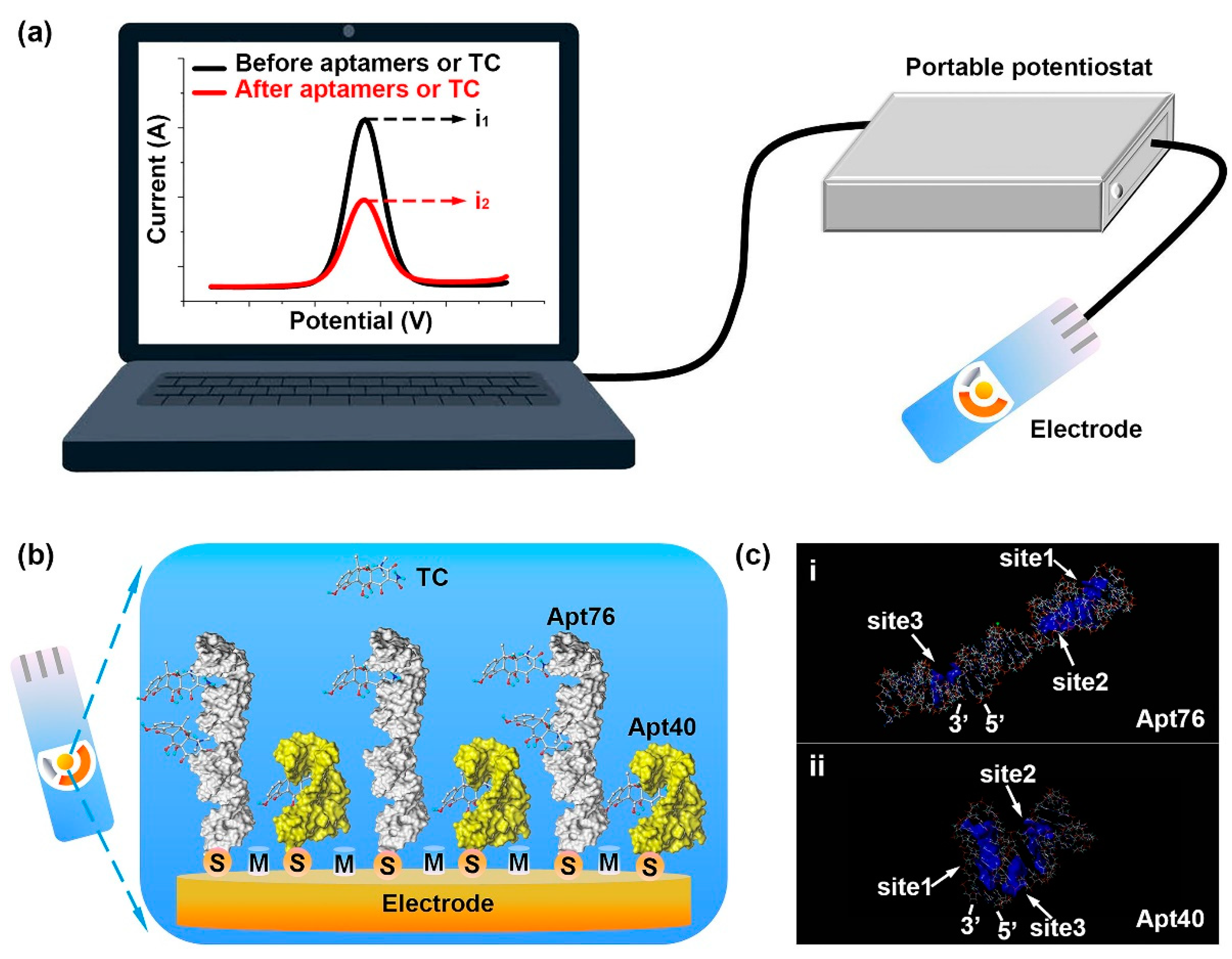 Molecules 26 02940 g011 Molecules 26 02940 g011