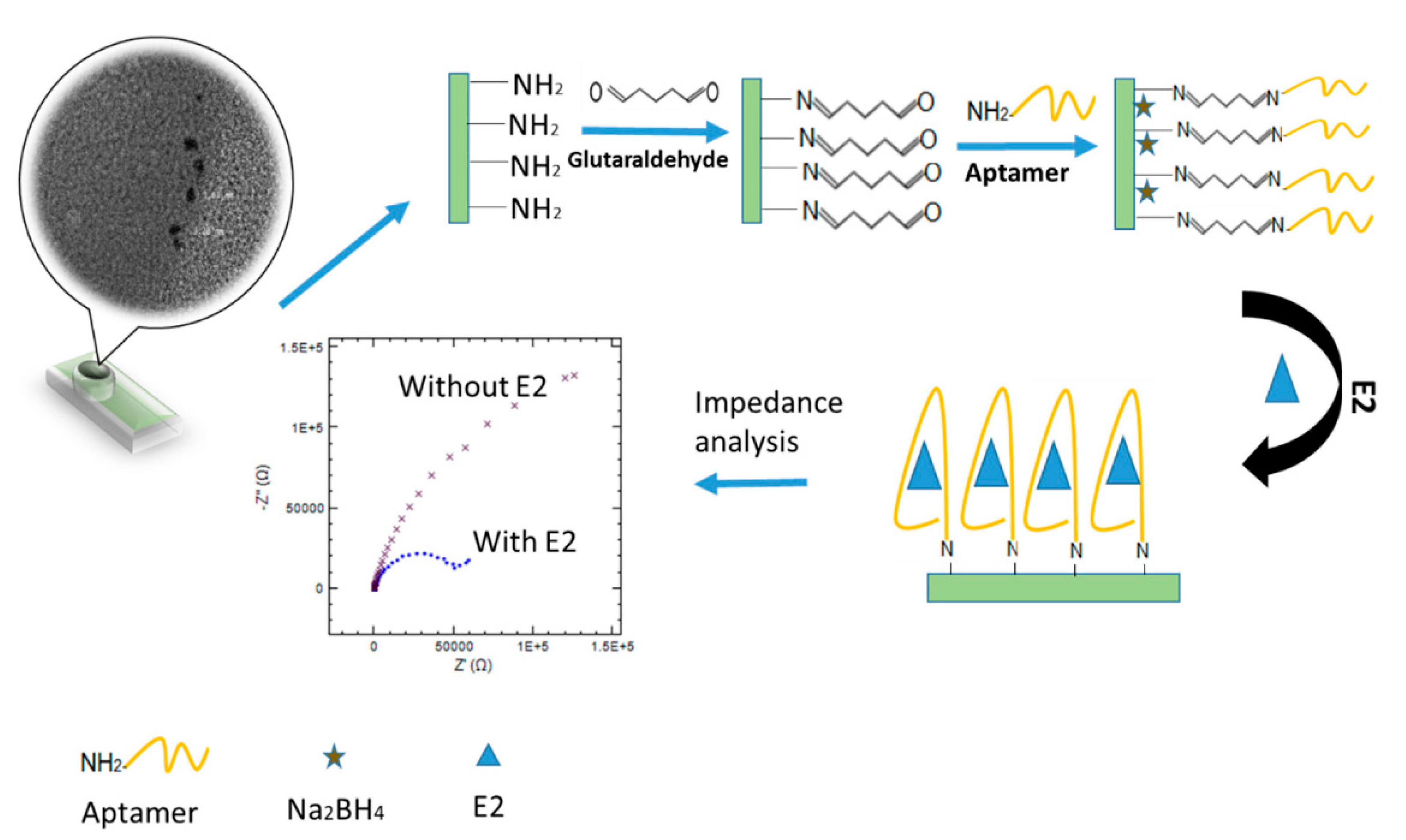 Molecules 26 02940 g012 Molecules 26 02940 g012