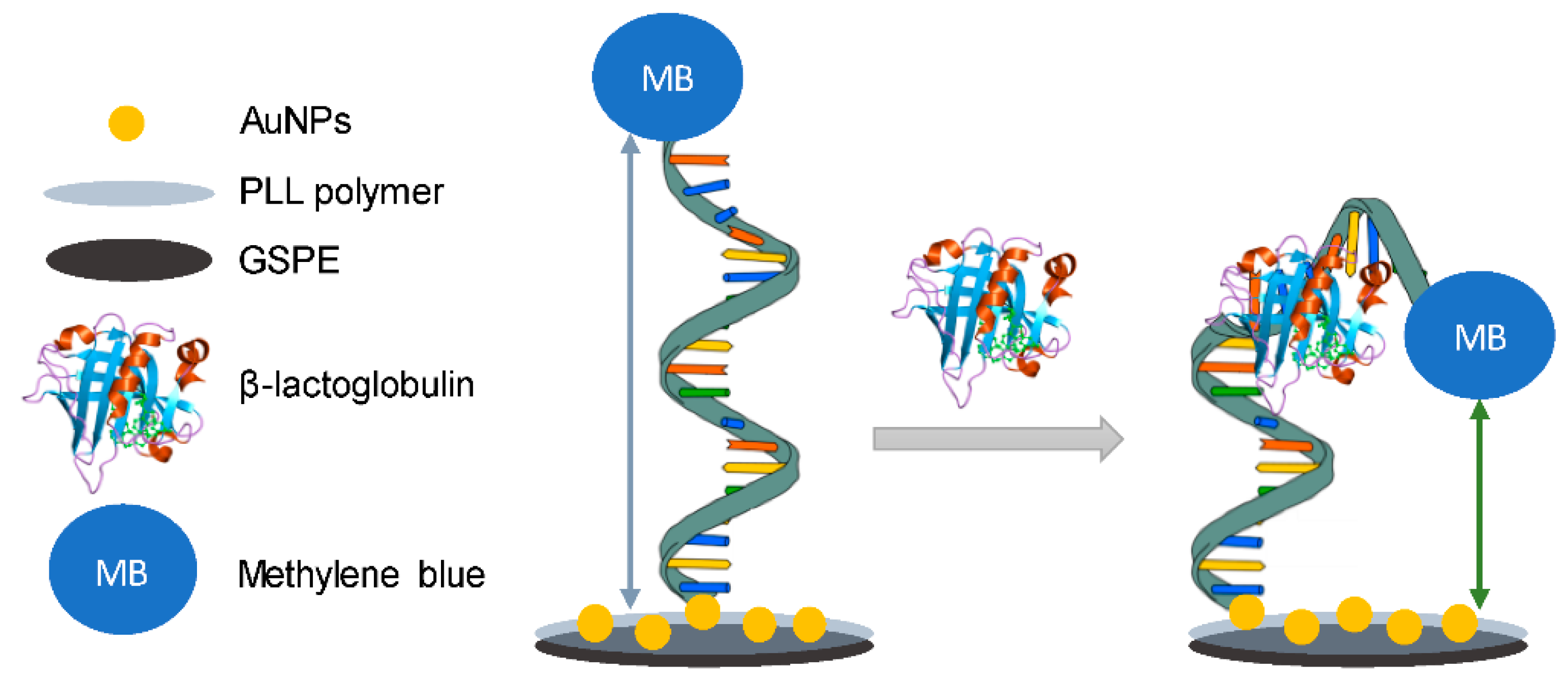 Molecules 26 02940 g013 Molecules 26 02940 g013