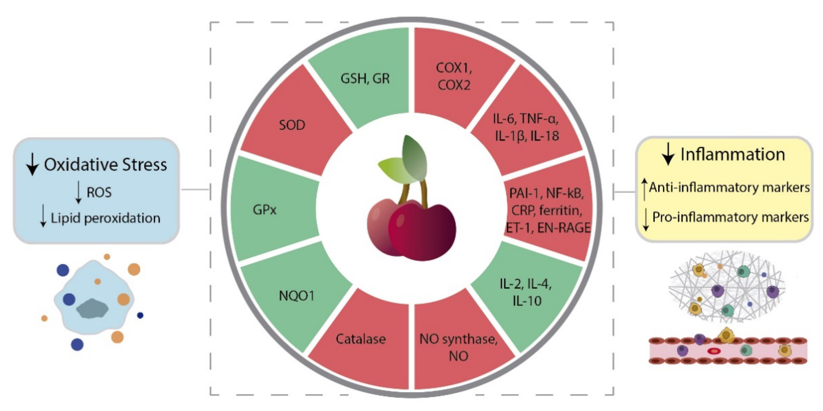 Molecules 26 02941 g001 Molecules 26 02941 g001