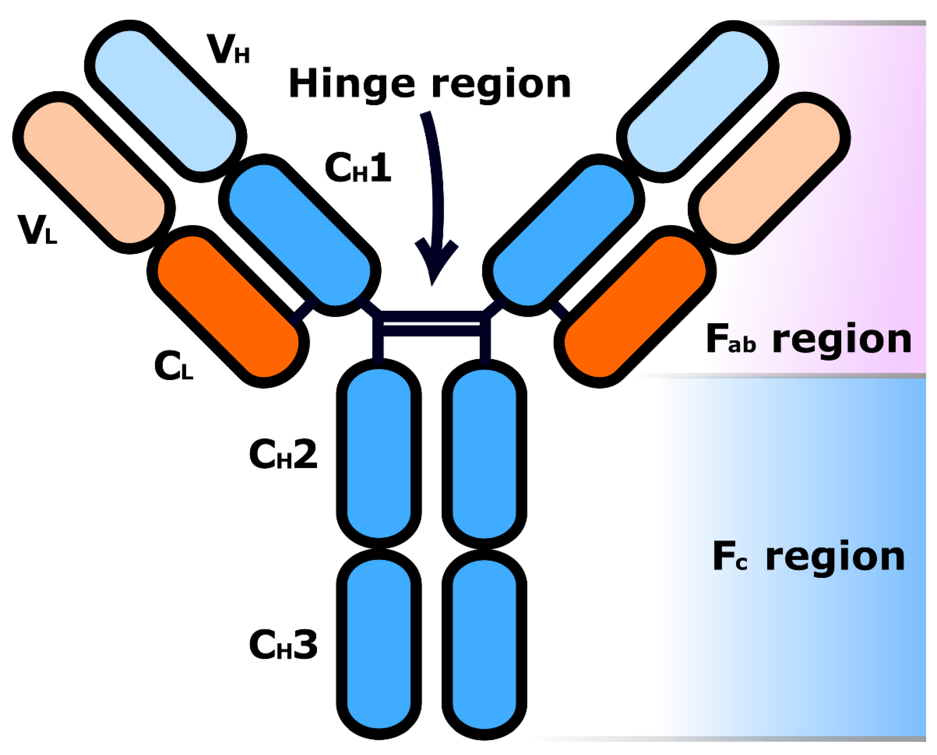 Molecules 26 02943 g002 Molecules 26 02943 g002