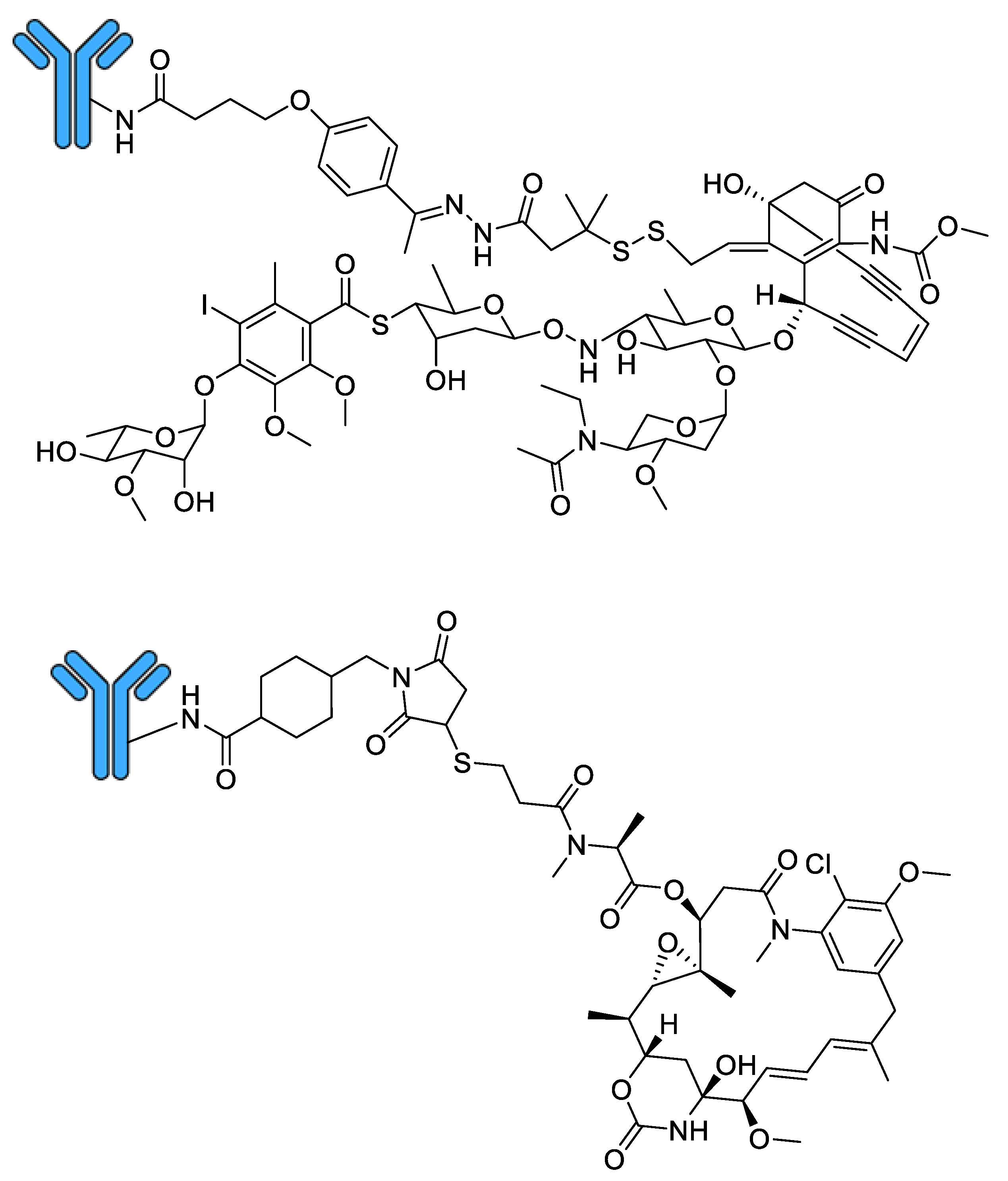 Molecules 26 02943 g005 Molecules 26 02943 g005