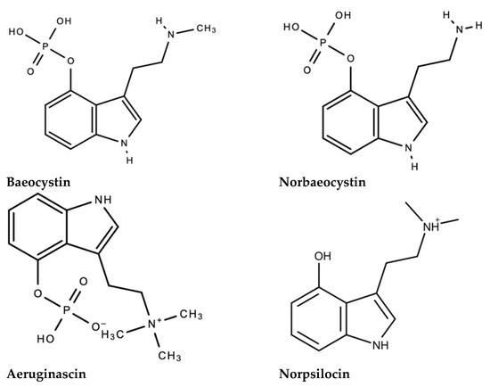 What Everybody Else Does When It Comes To Mushrooms And What You Should Do Different