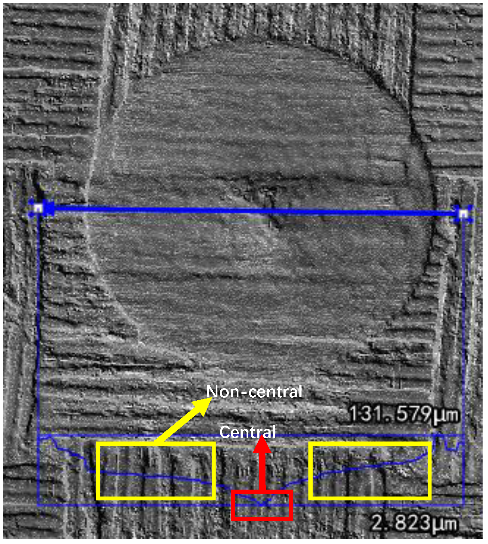 Molecules 26 02953 g006 Molecules 26 02953 g006