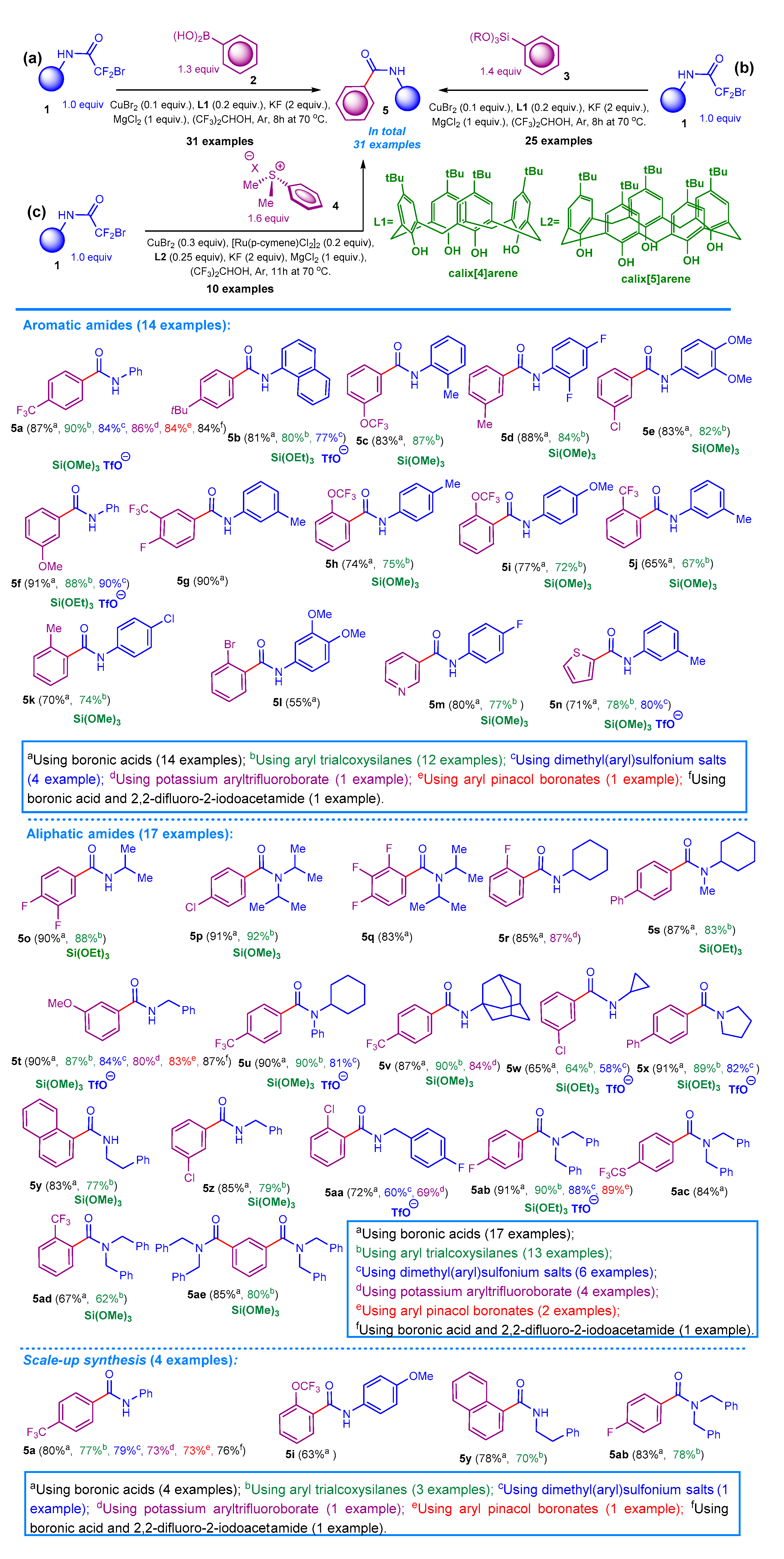 Molecules 26 02957 sch003