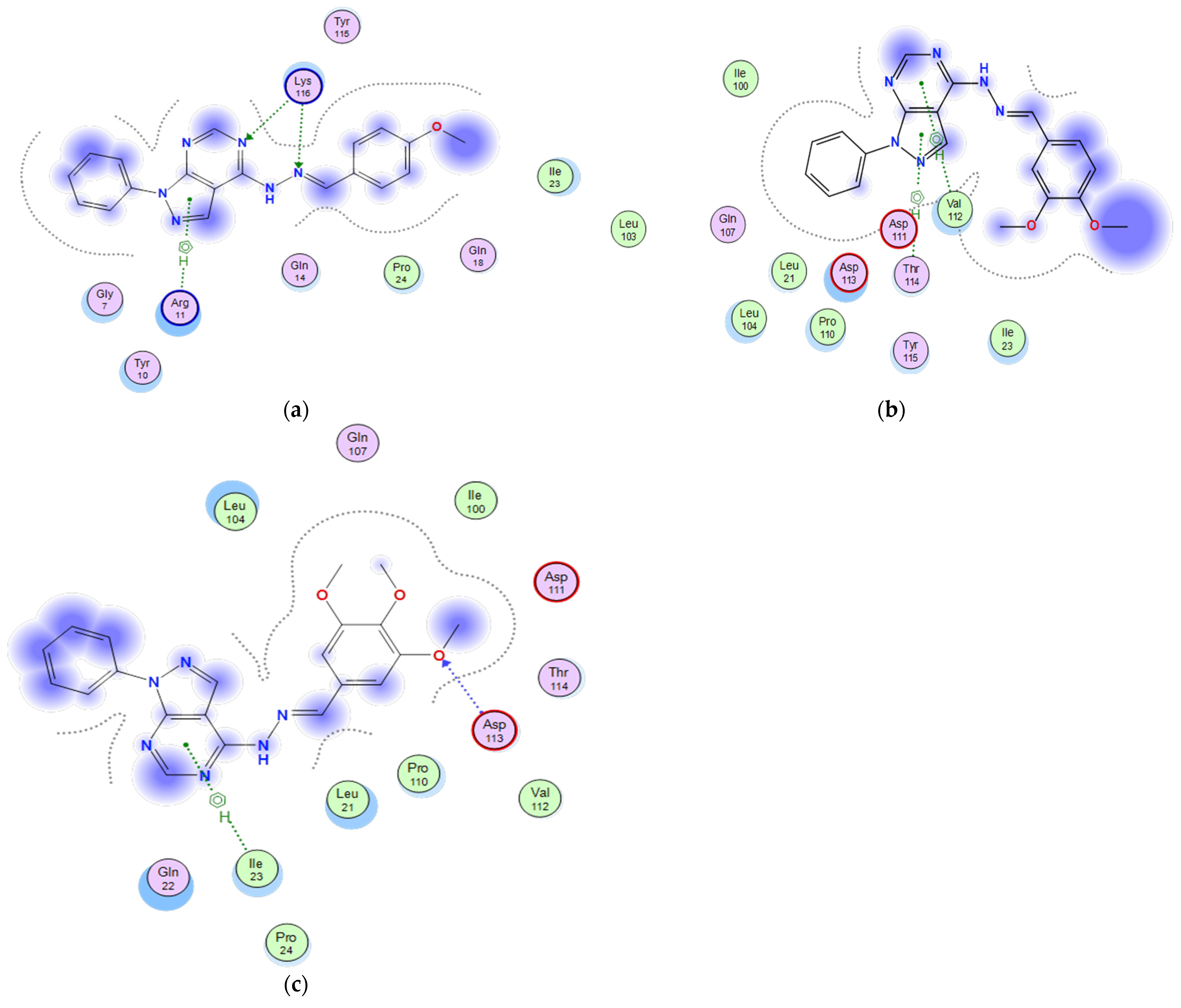 Molecules 26 02961 g007