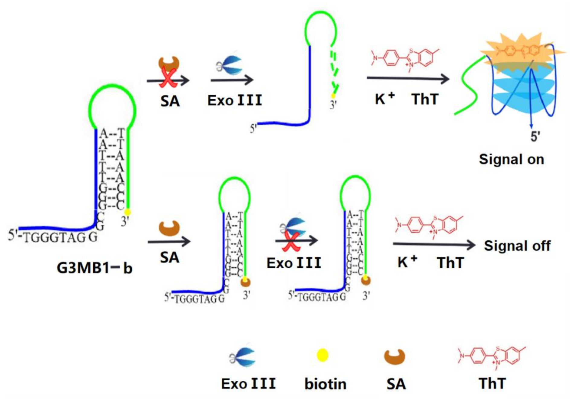 Molecules 26 02962 sch001