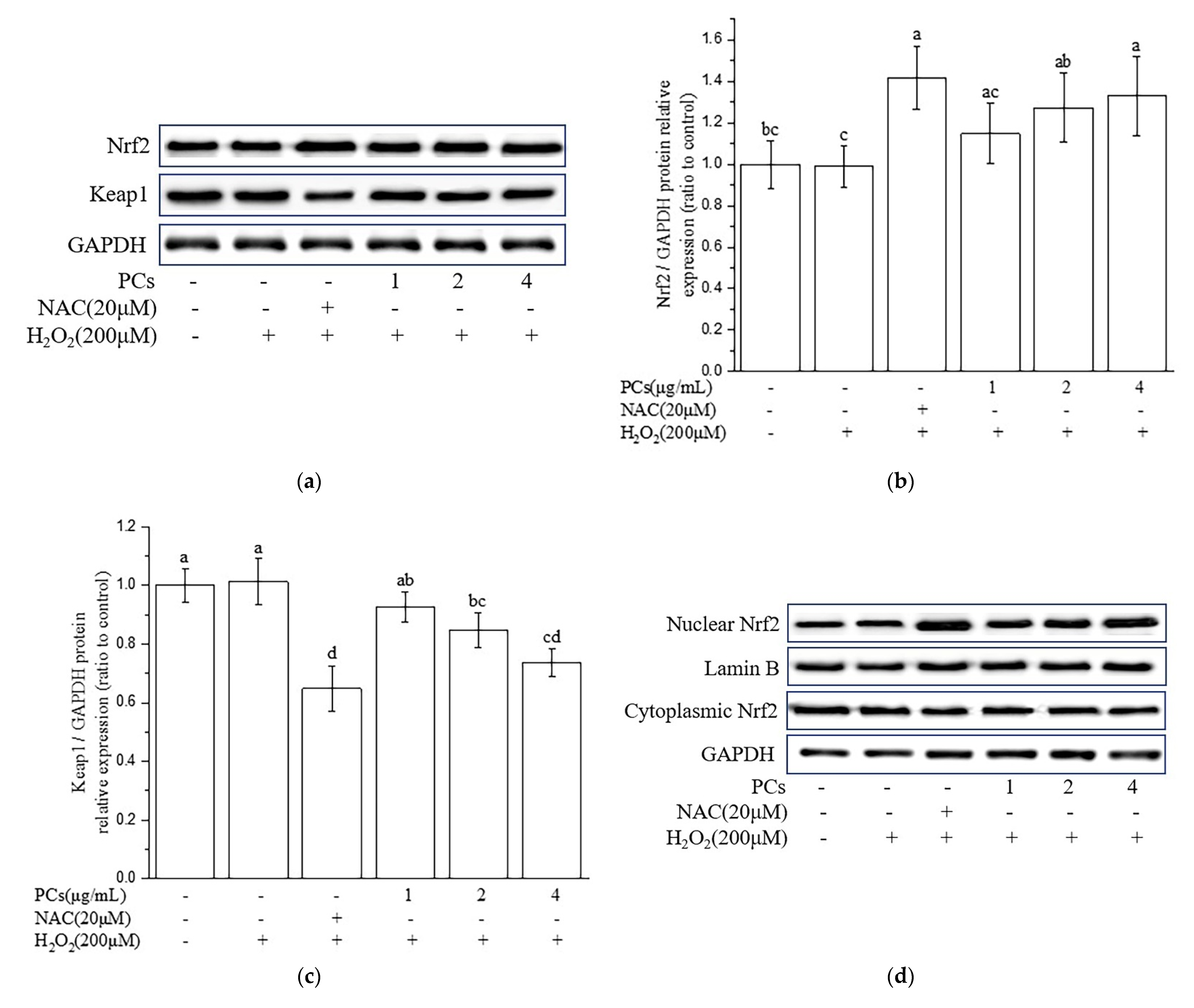 Molecules 26 02963 g003a Molecules 26 02963 g003a