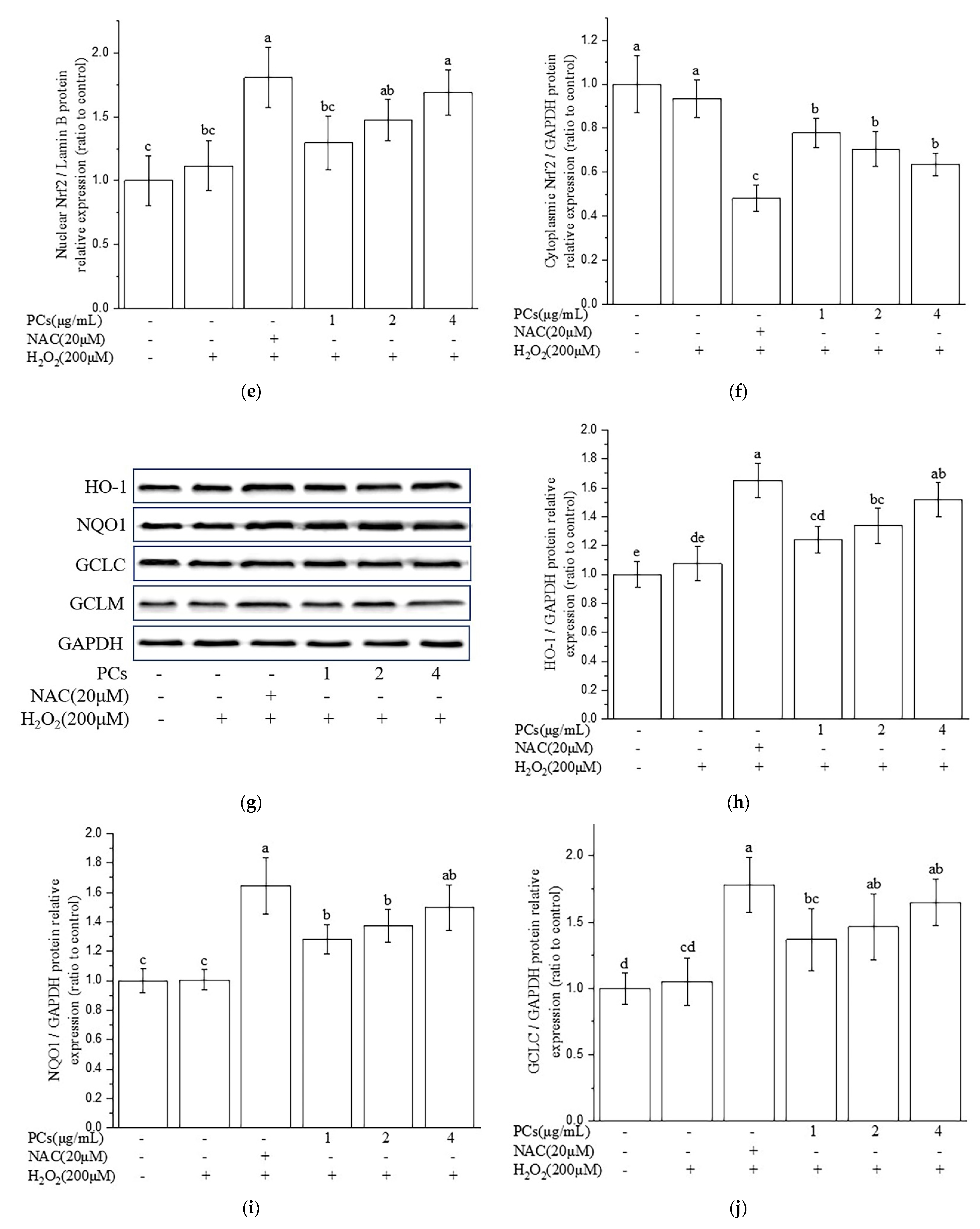 Molecules 26 02963 g003b Molecules 26 02963 g003b