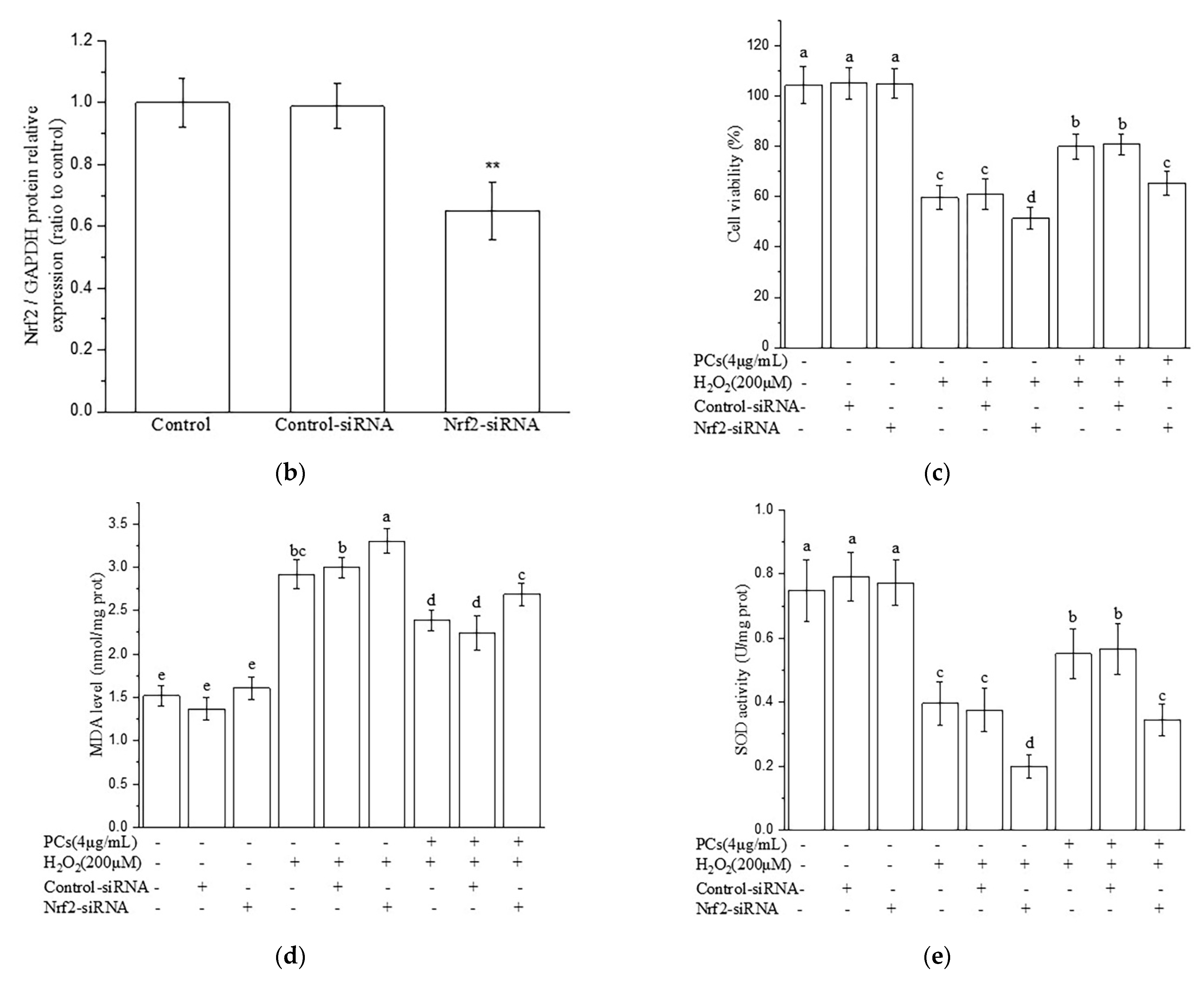 Molecules 26 02963 g004b Molecules 26 02963 g004b