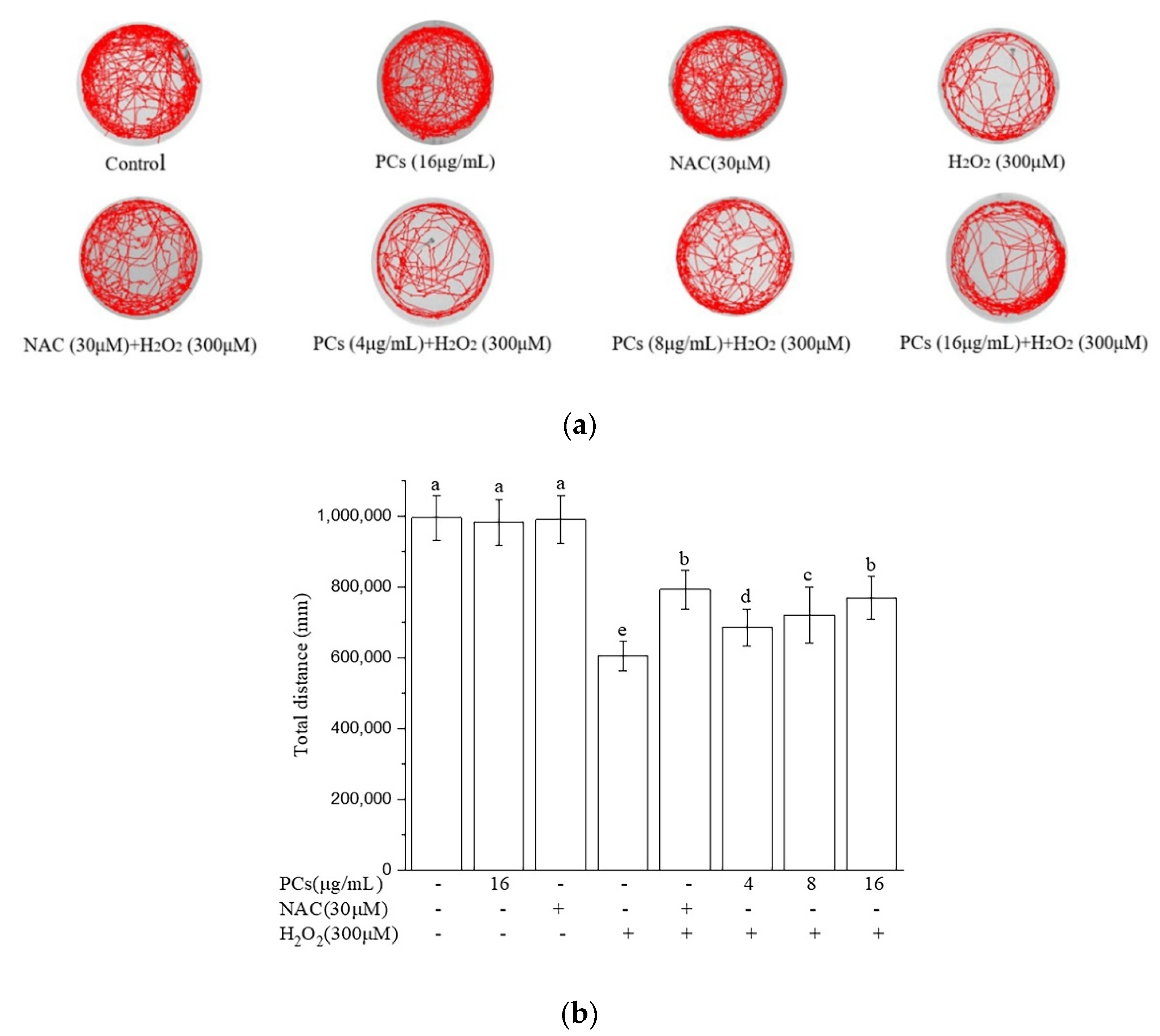 Molecules 26 02963 g005 Molecules 26 02963 g005
