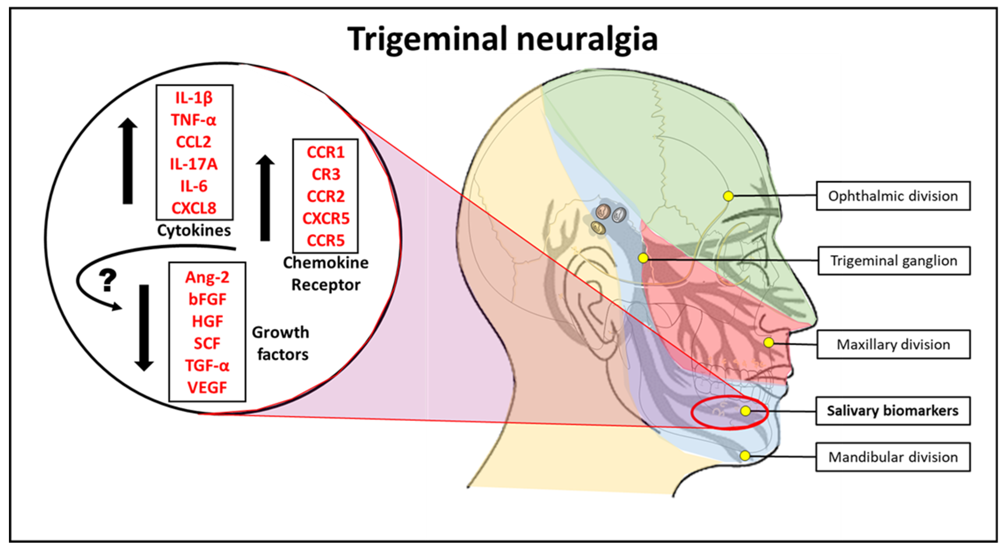 Molecules 26 02964 g001 Molecules 26 02964 g001