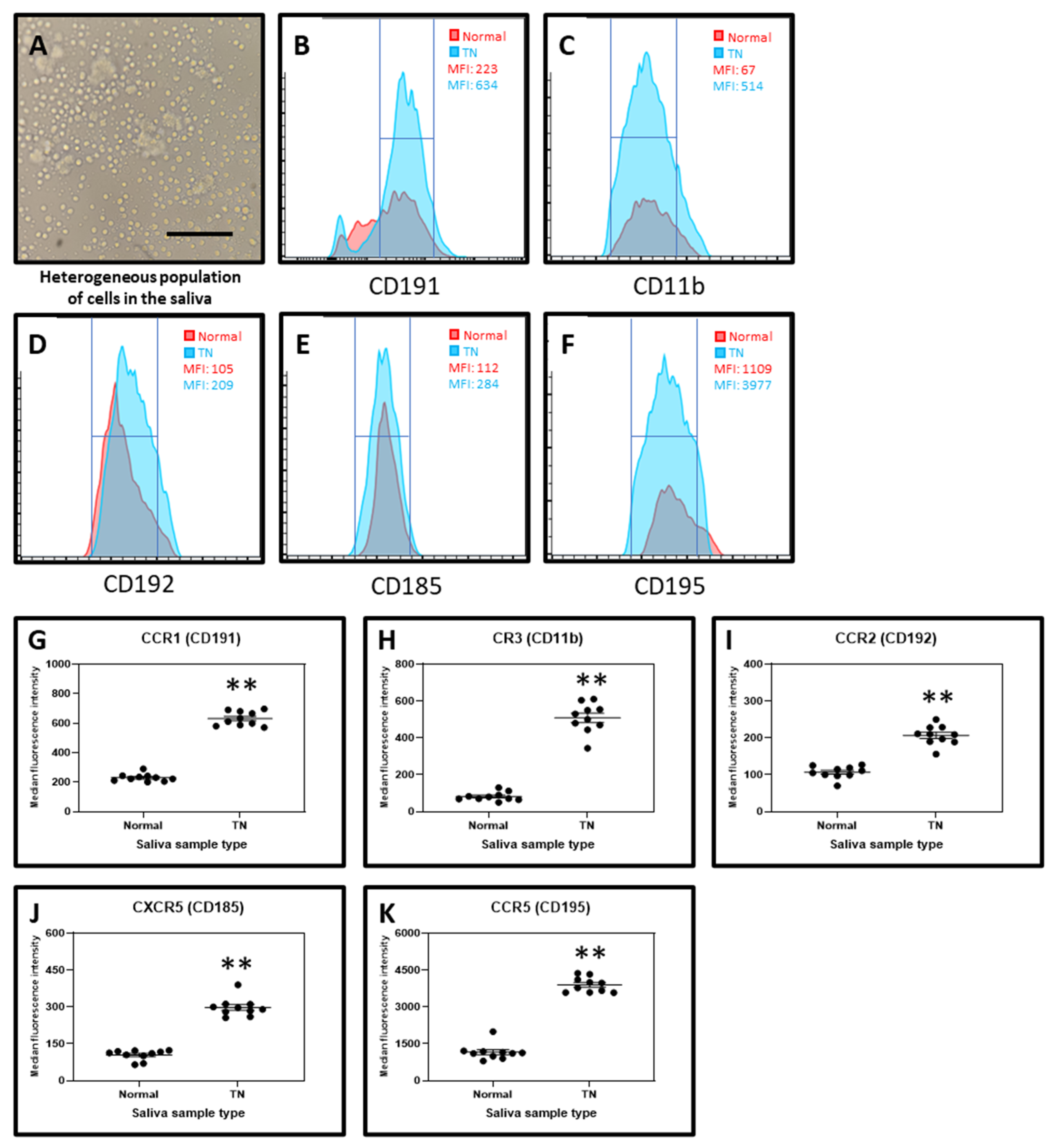 Molecules 26 02964 g004 Molecules 26 02964 g004
