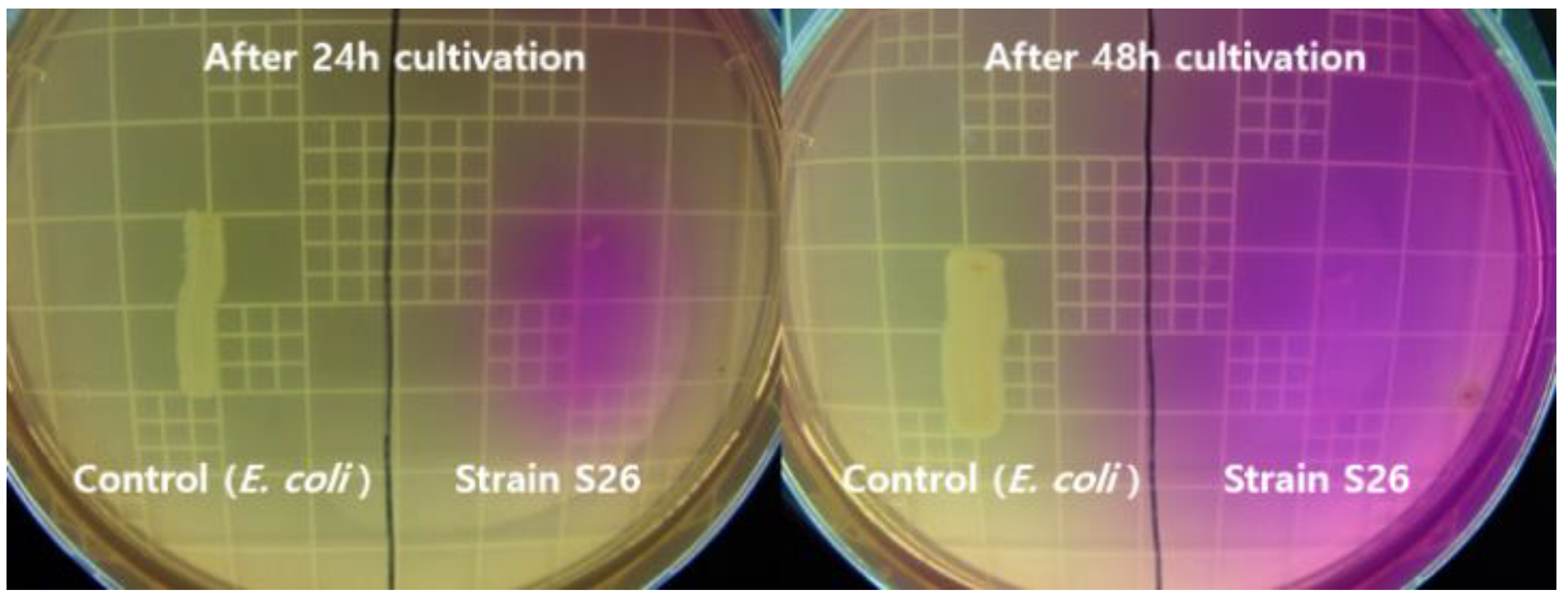 Molecules 26 02967 g001 Molecules 26 02967 g001