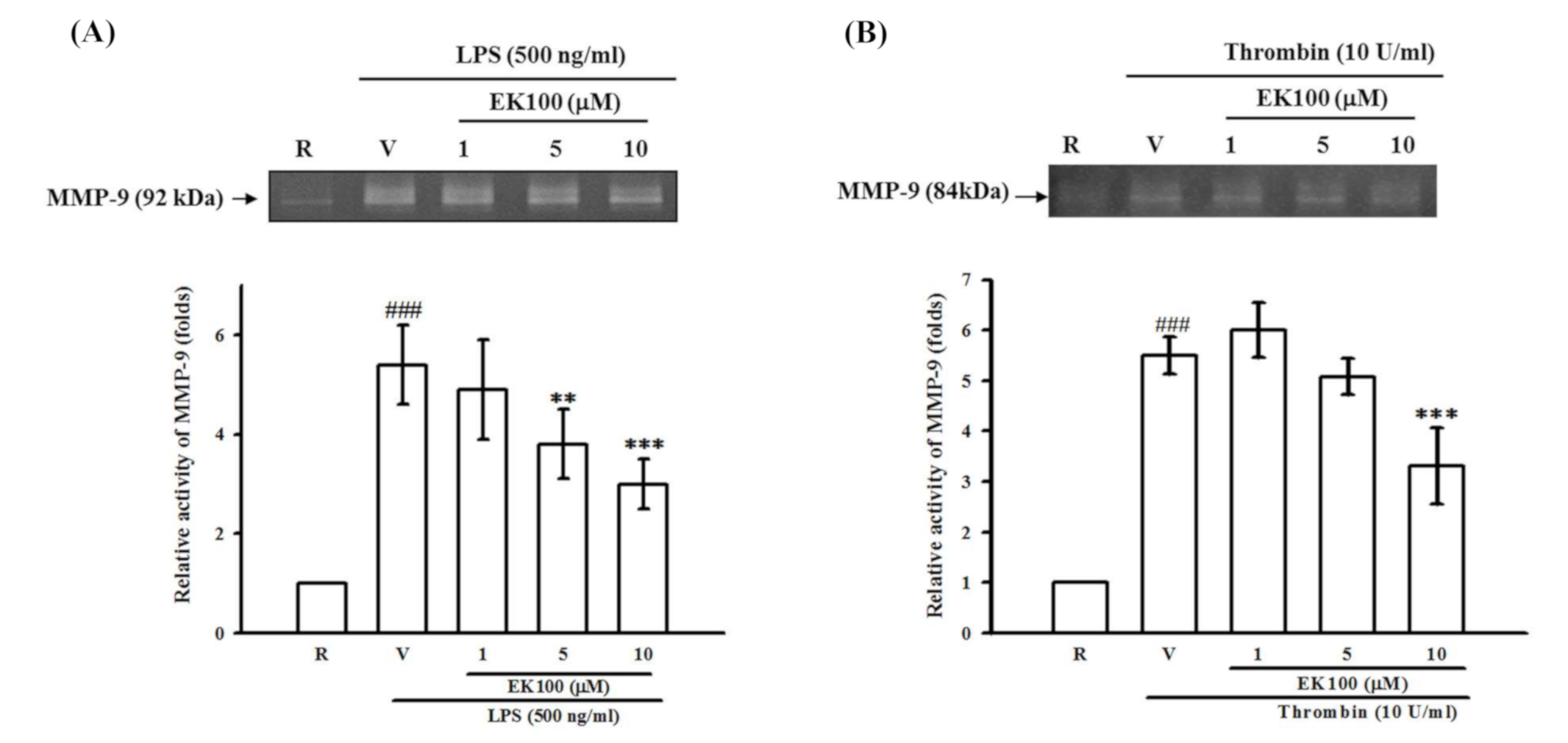 Molecules 26 02970 g005