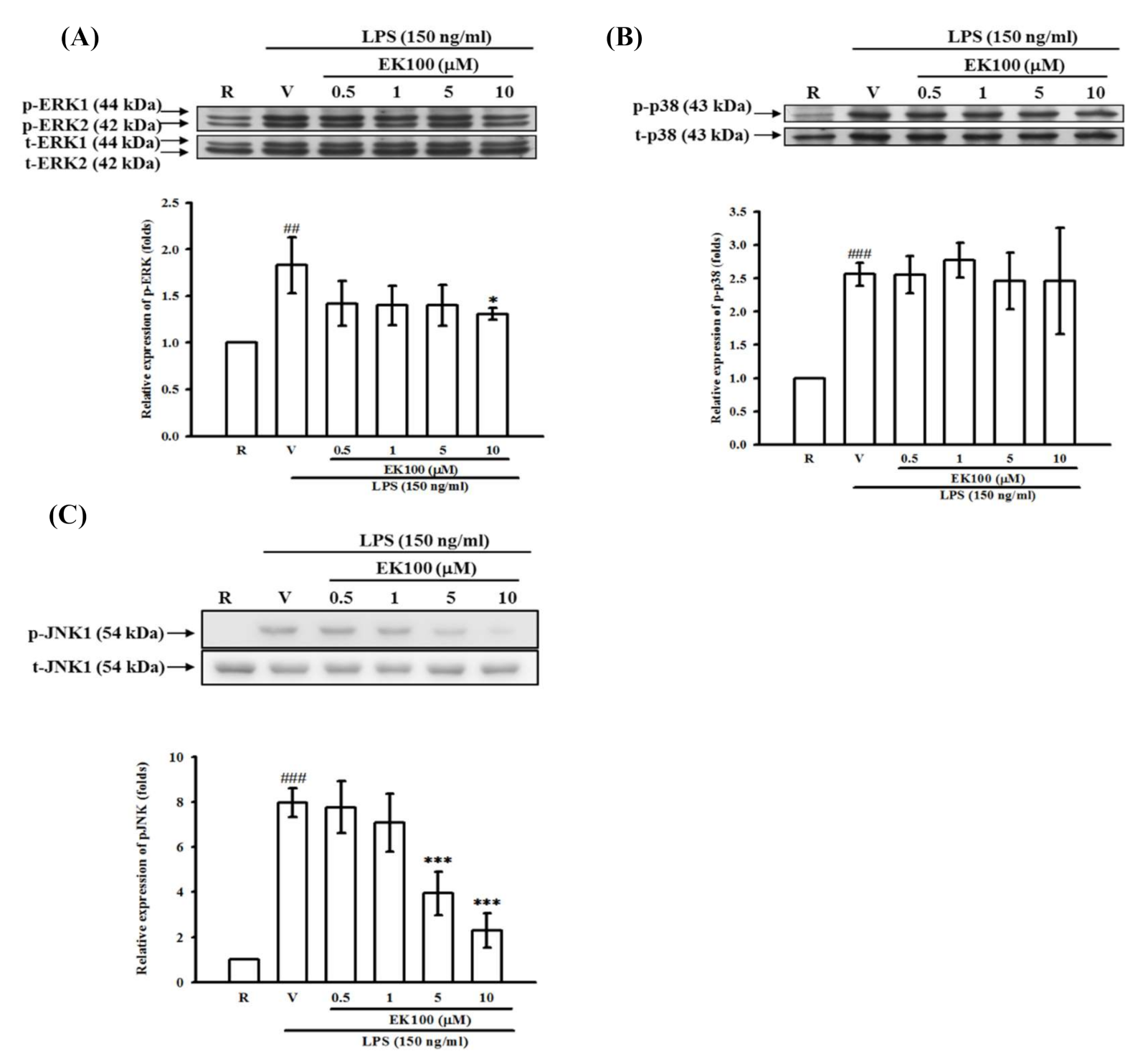 Molecules 26 02970 g007