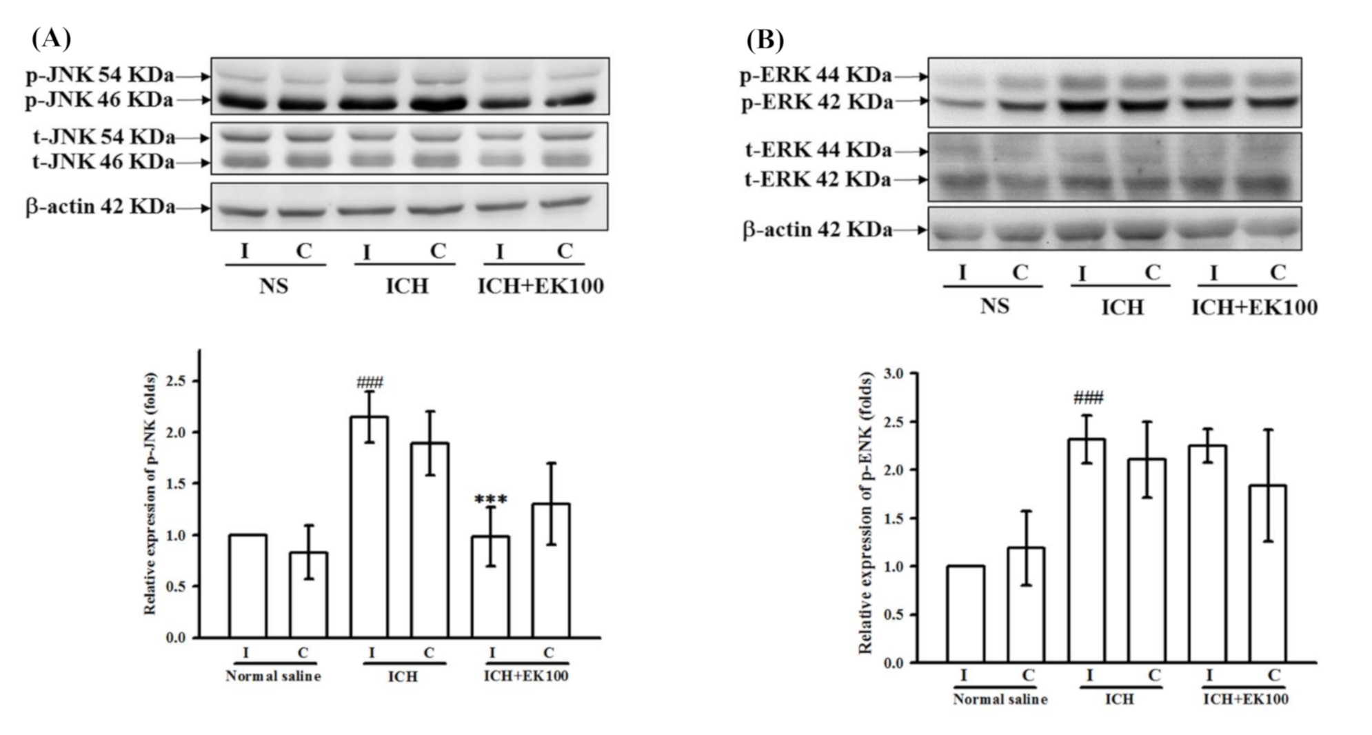 Molecules 26 02970 g008
