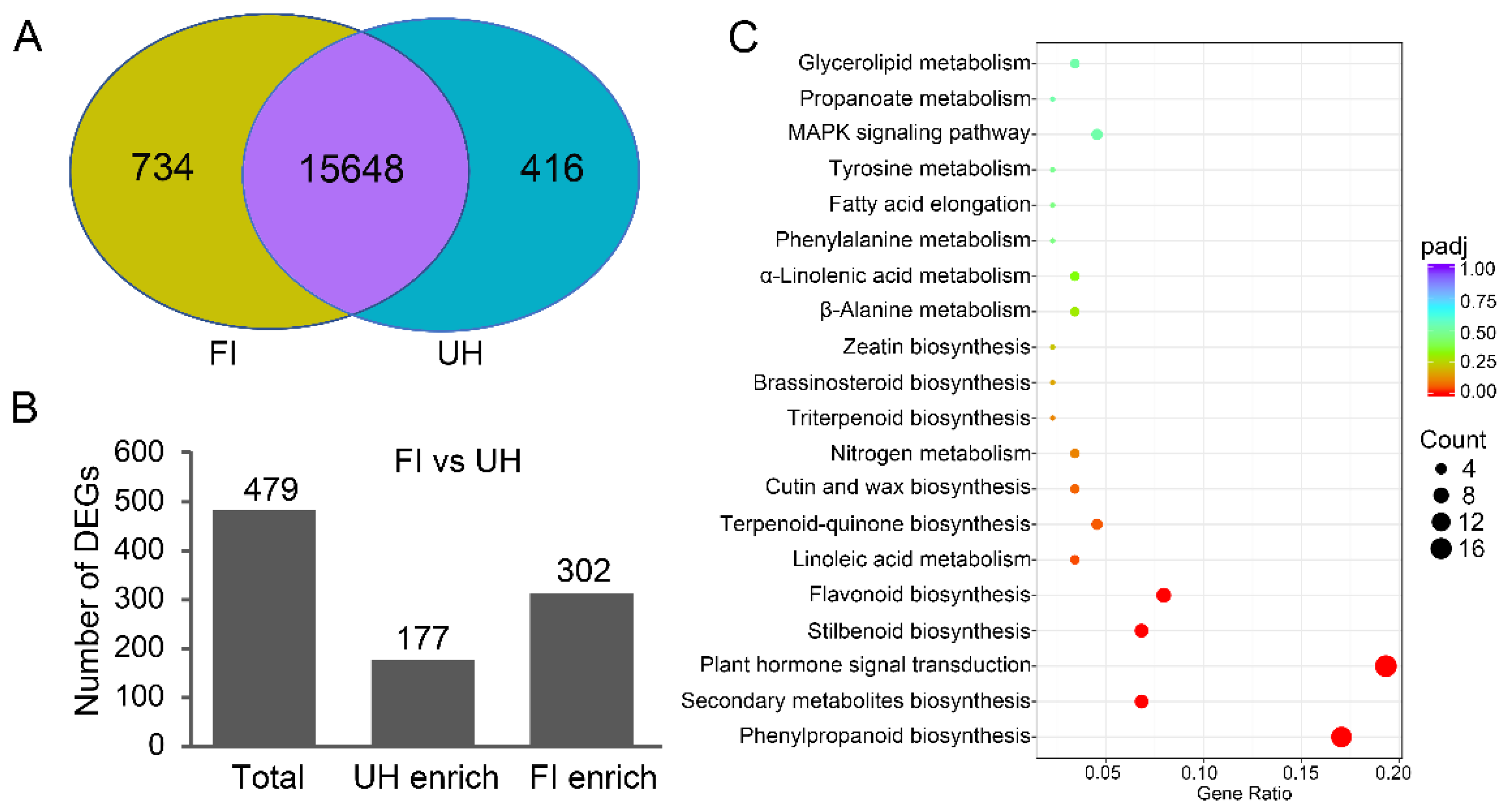 Molecules 26 02978 g002 Molecules 26 02978 g002