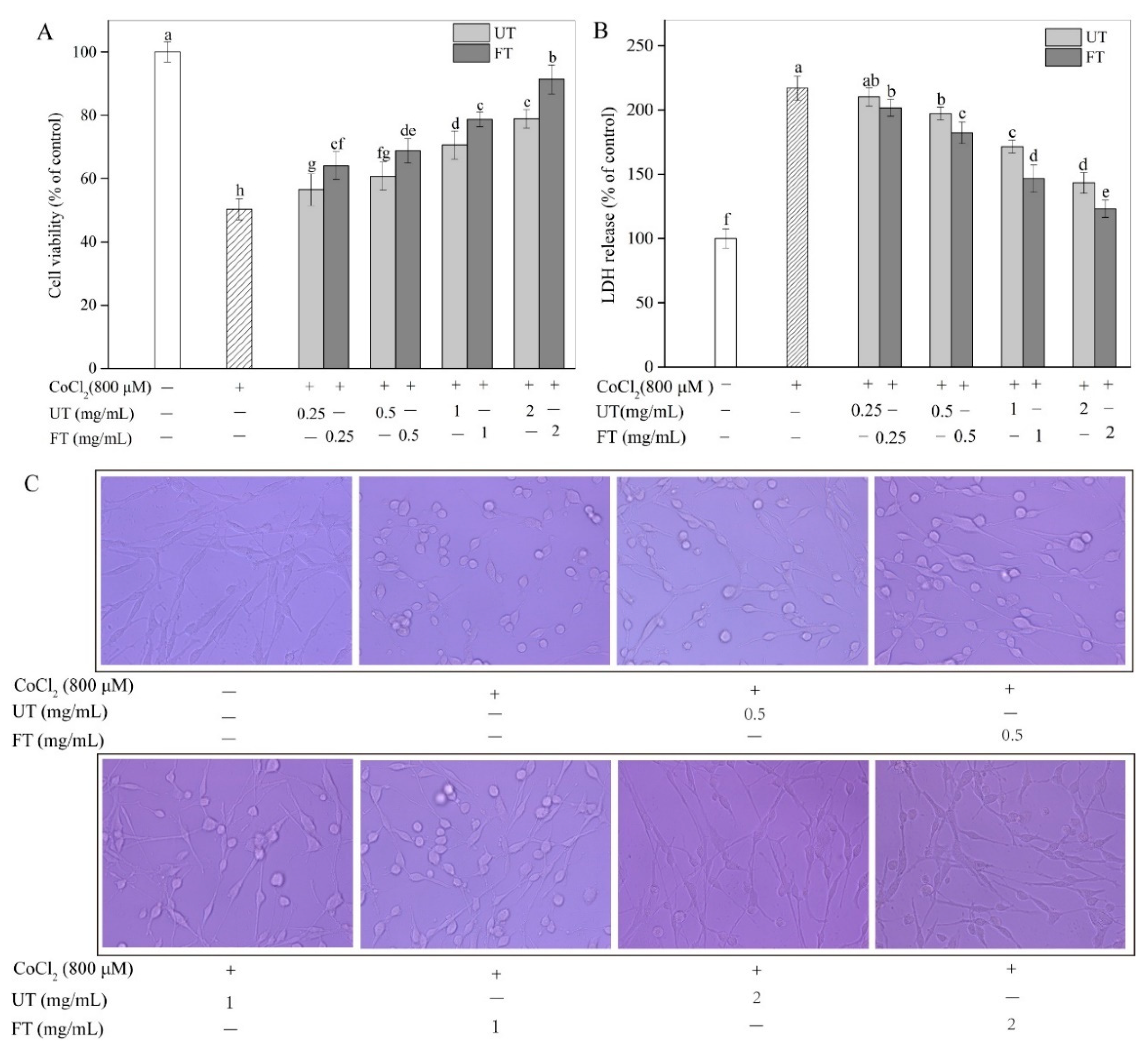 Molecules 26 02983 g003 Molecules 26 02983 g003