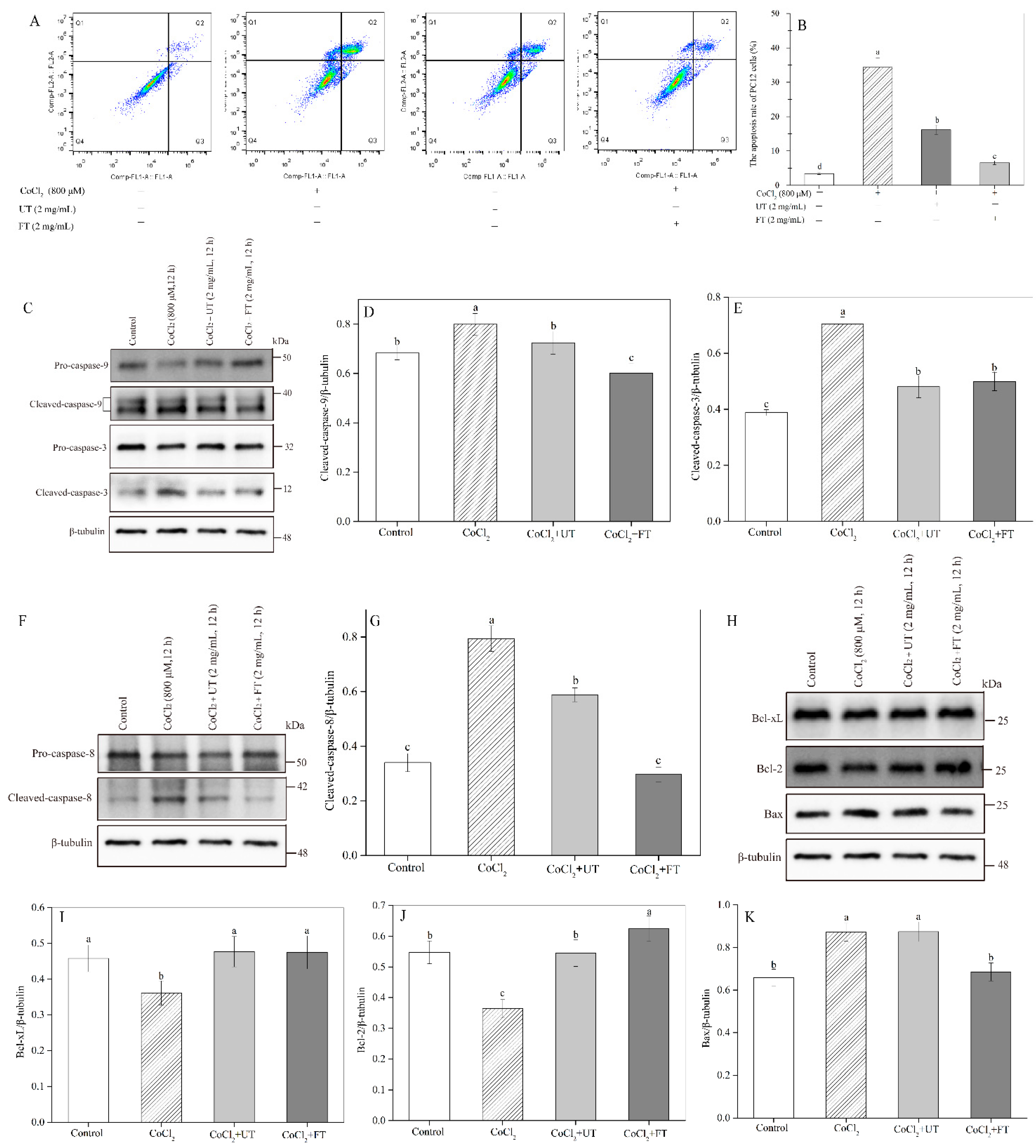 Molecules 26 02983 g005 Molecules 26 02983 g005