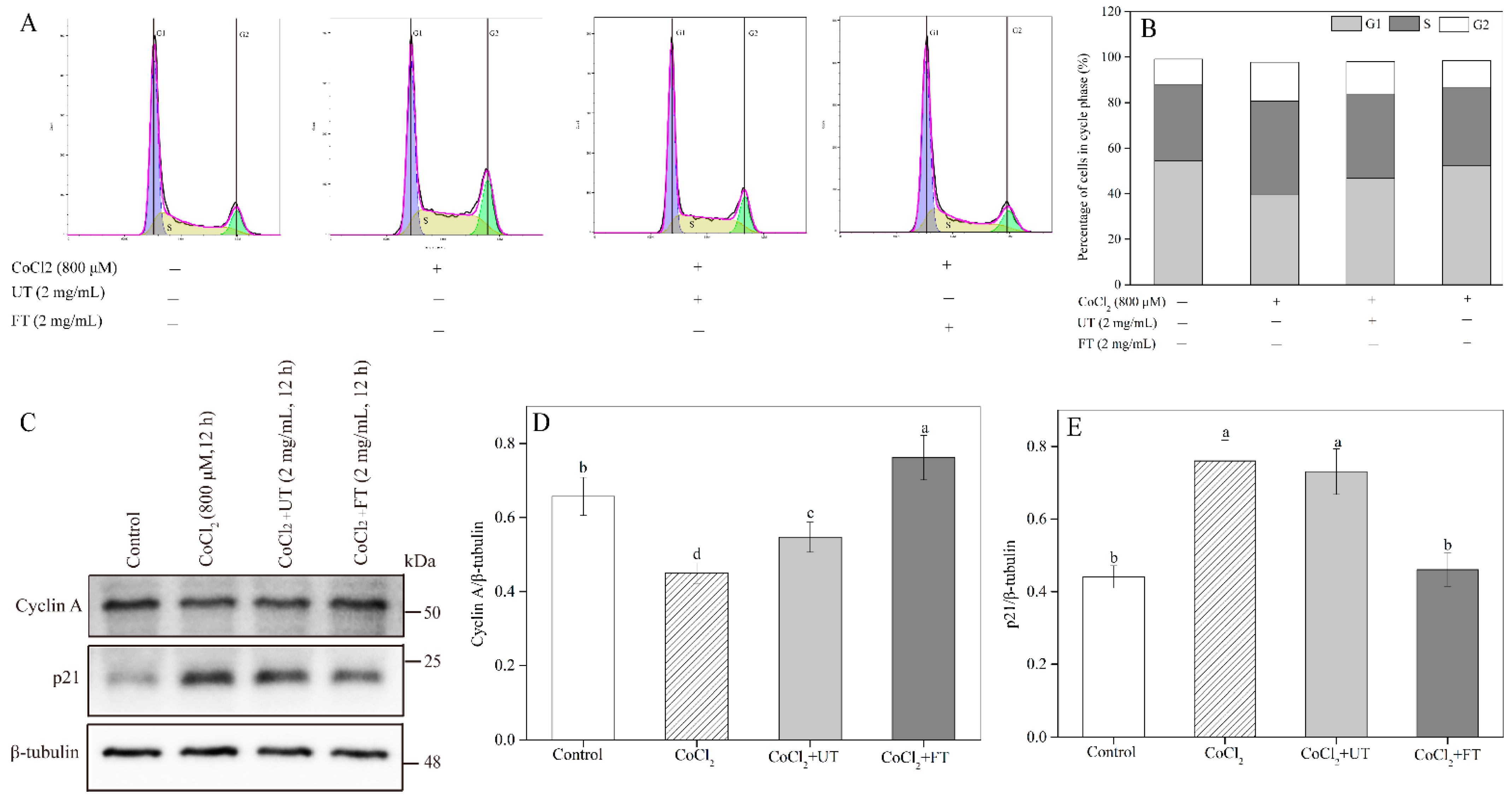 Molecules 26 02983 g006 Molecules 26 02983 g006