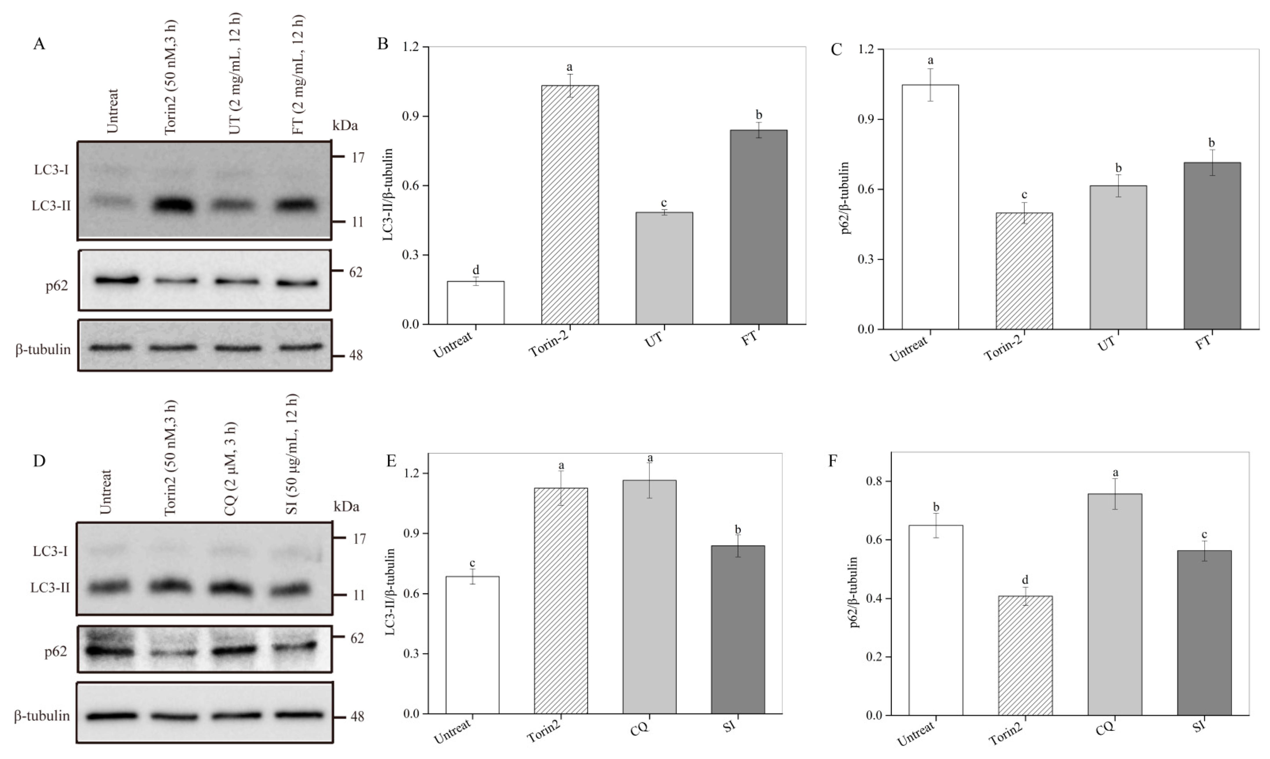 Molecules 26 02983 g007 Molecules 26 02983 g007