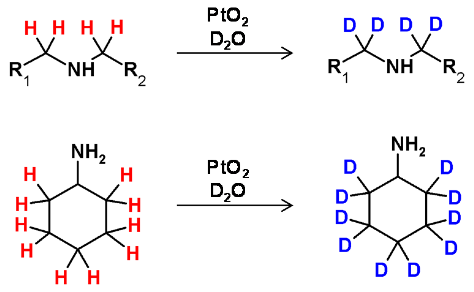 Molecules 26 02989 g023 Molecules 26 02989 g023
