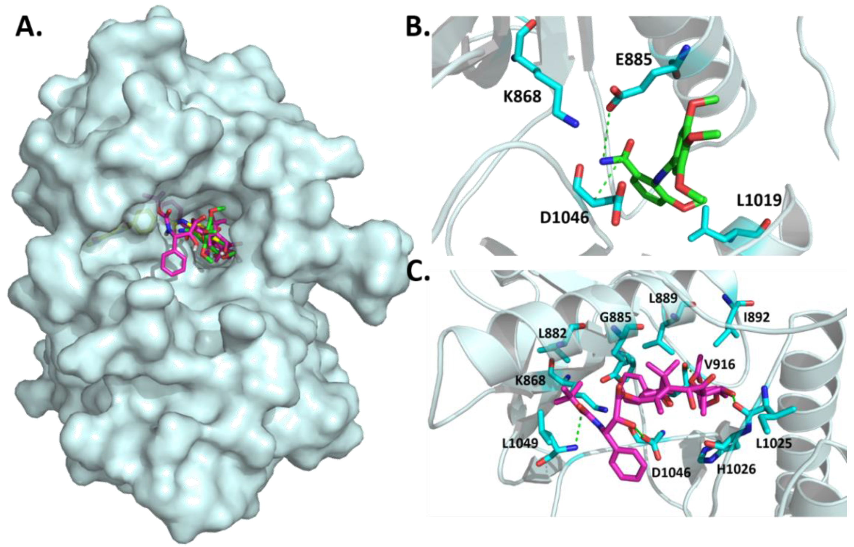Molecules 26 02992 g006 Molecules 26 02992 g006