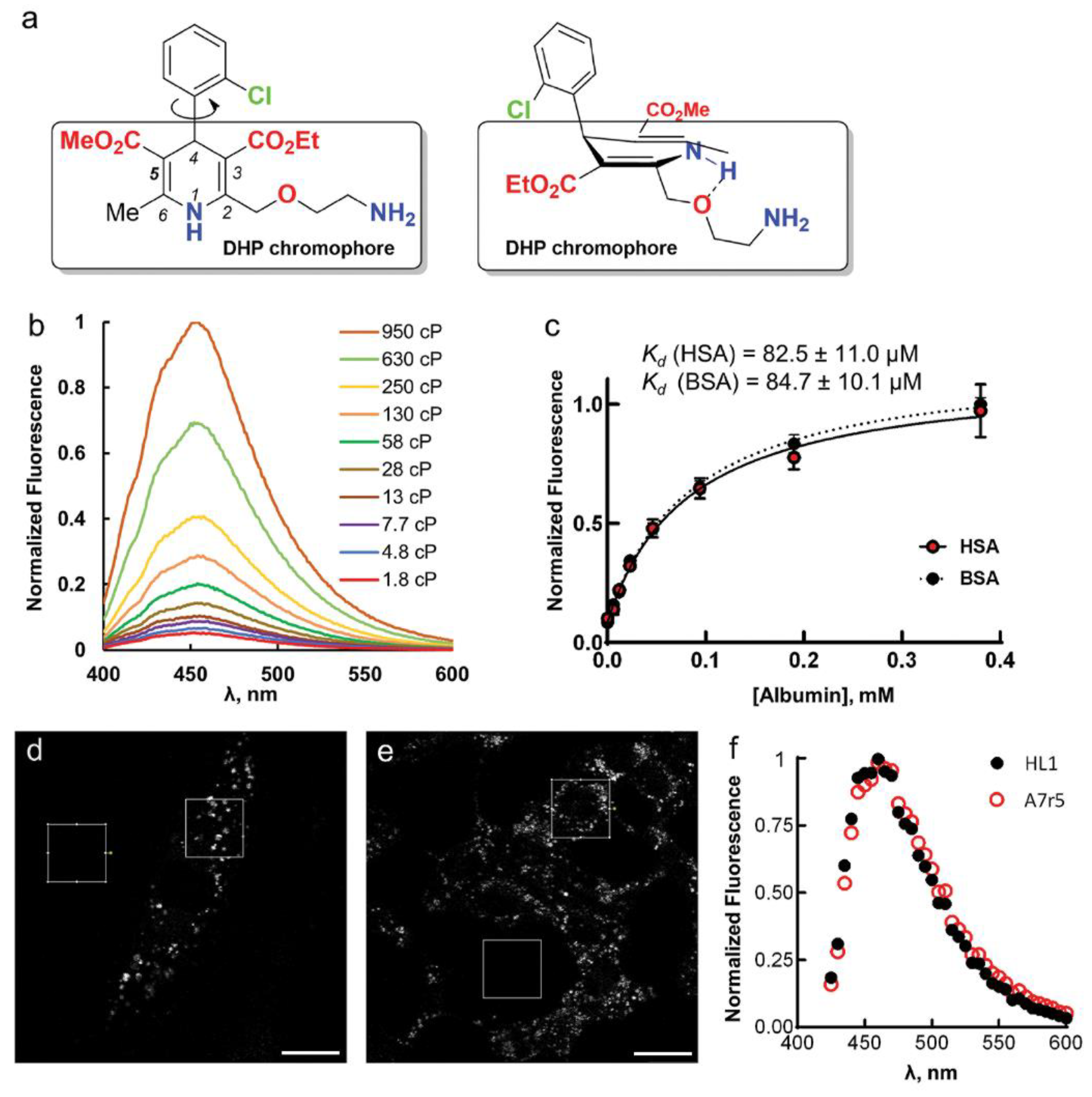 Molecules 26 02997 g001