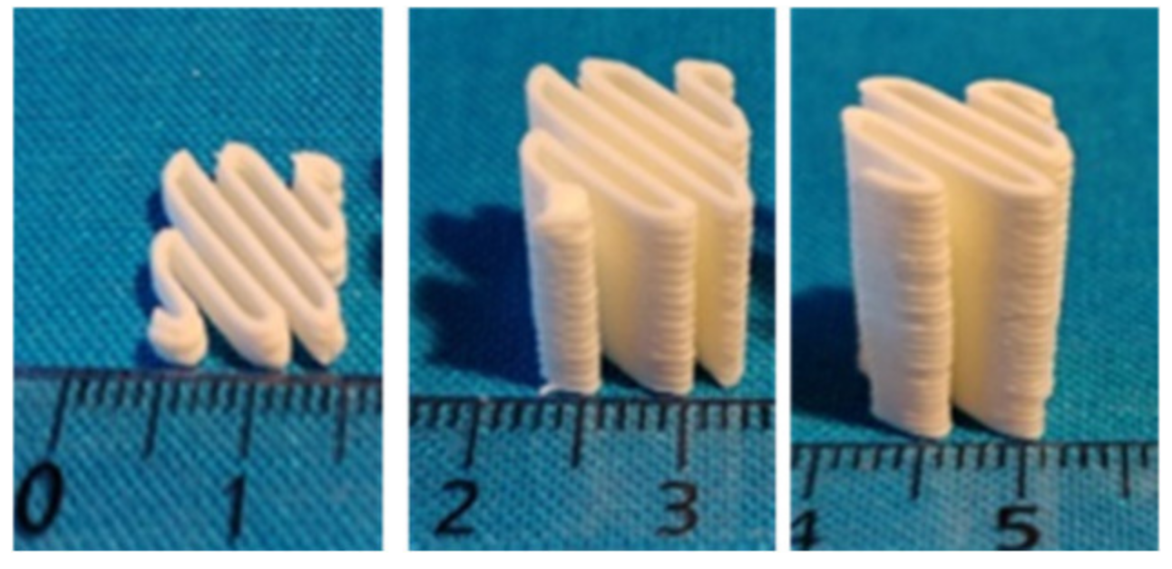 Molecules 26 03000 g011