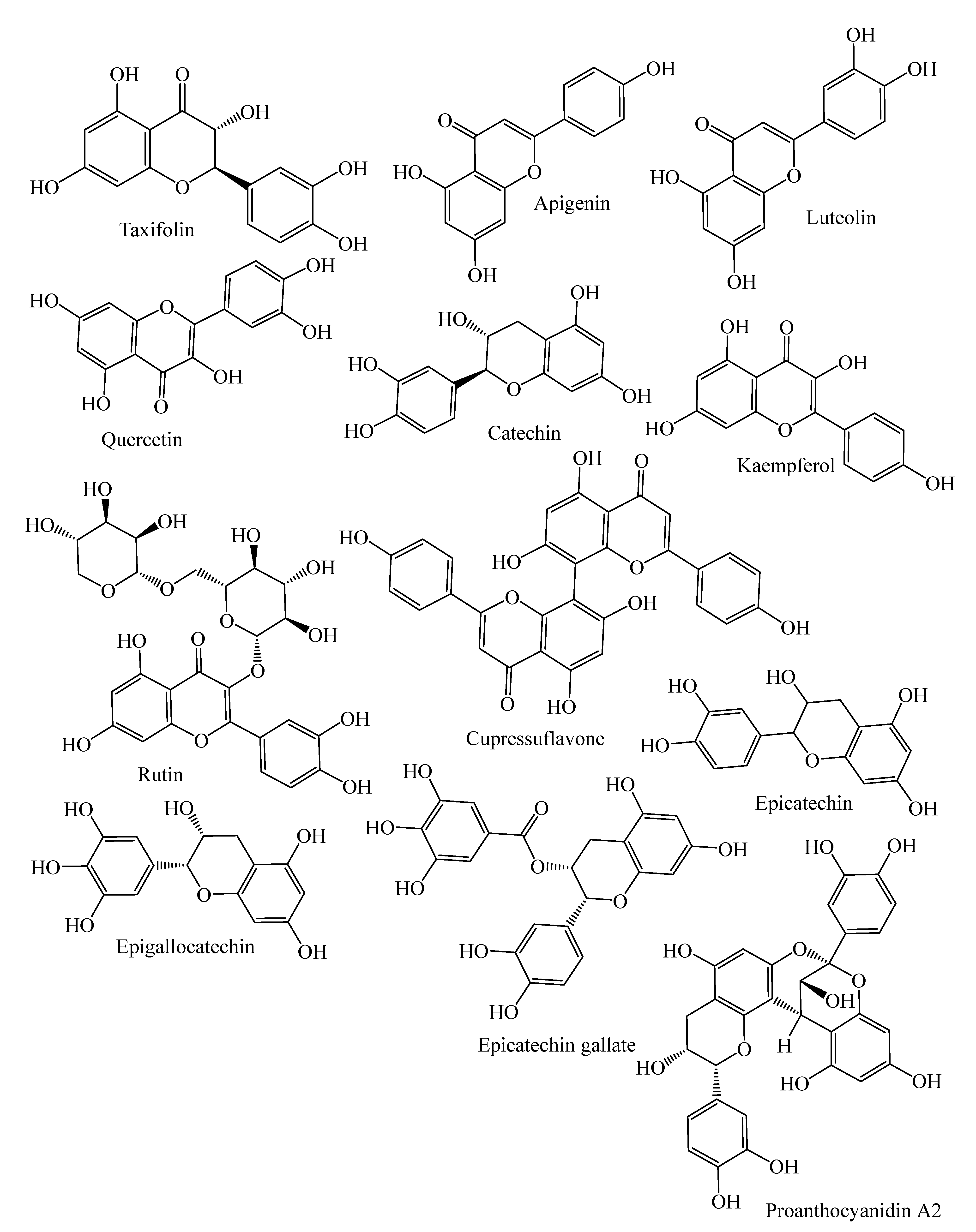 Molecules 26 03005 g002b