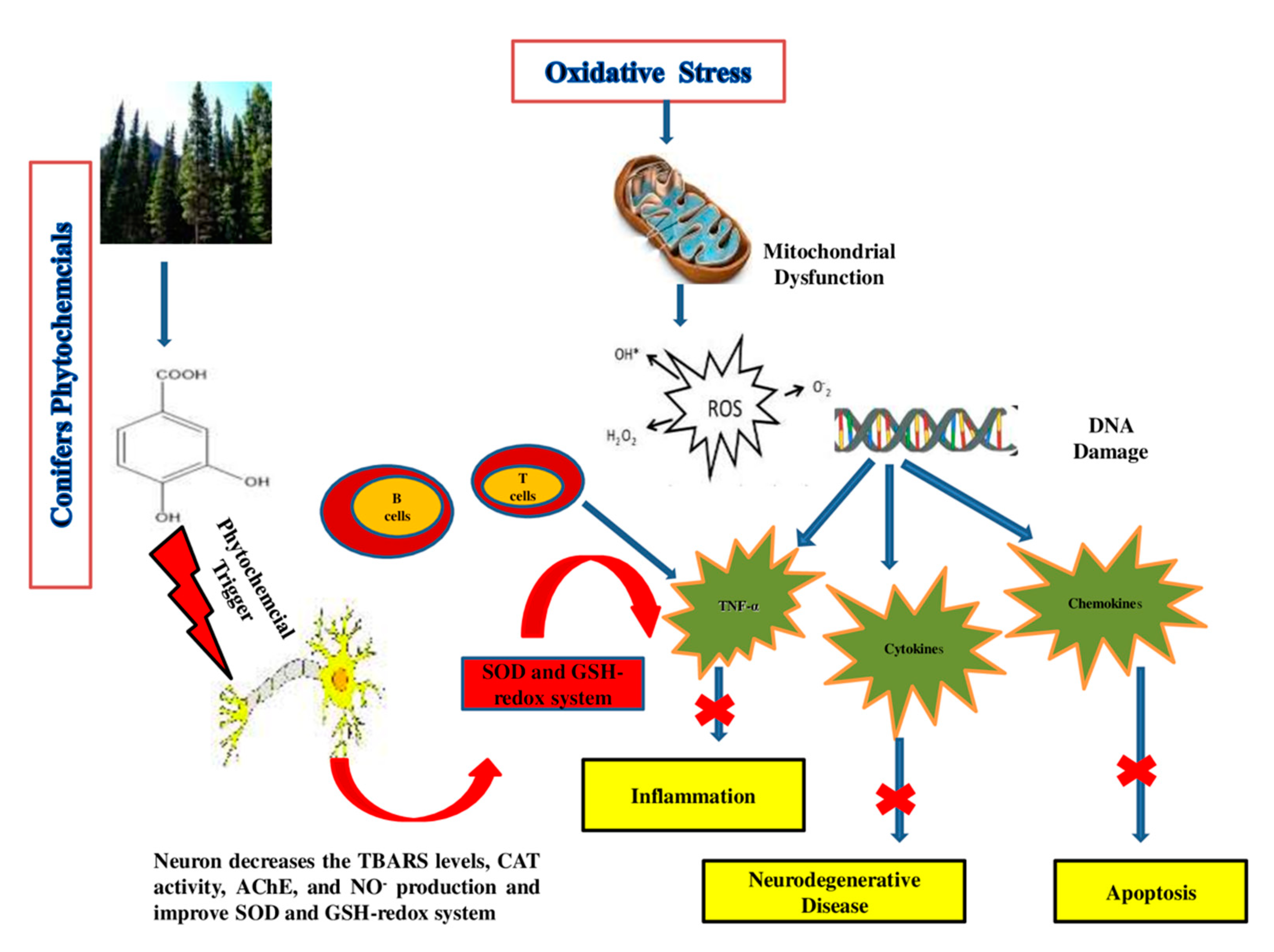Molecules 26 03005 g003