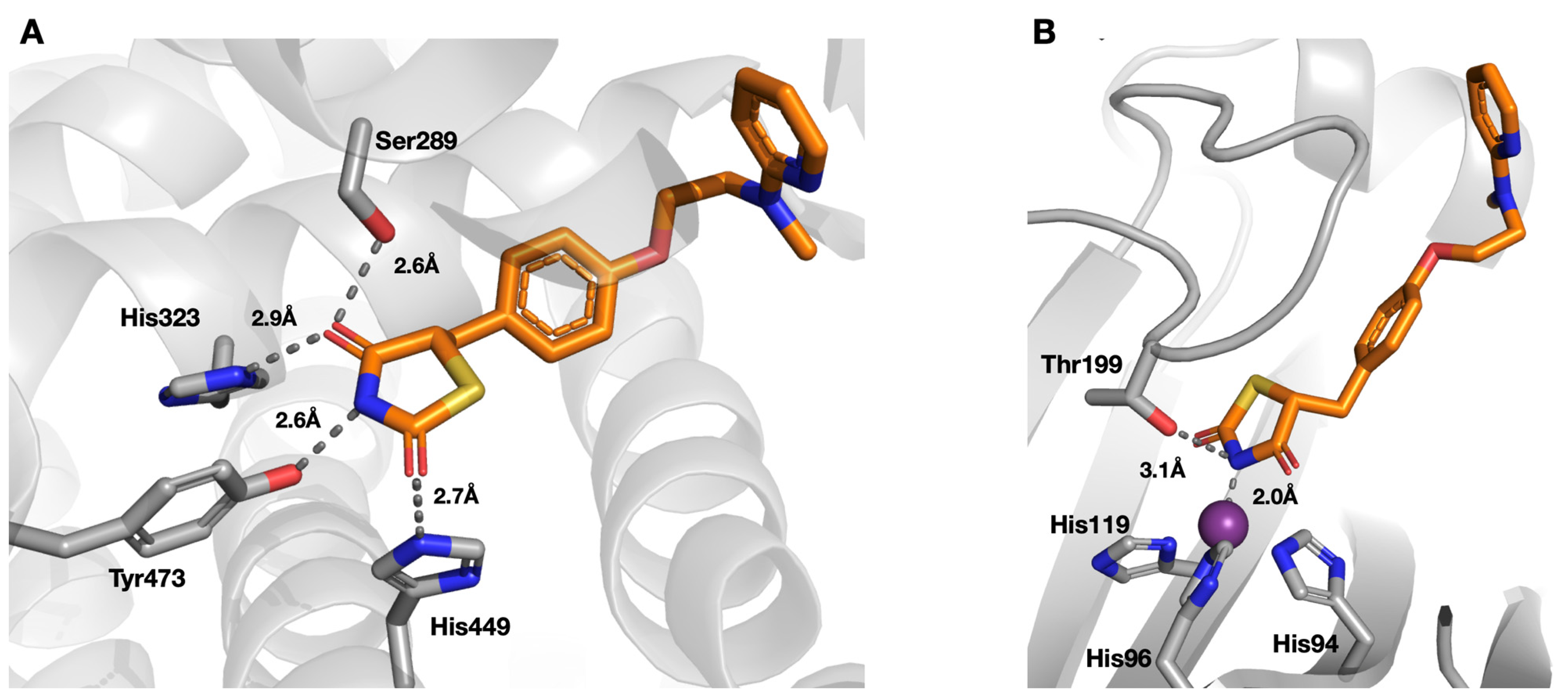 Molecules 26 03010 g004