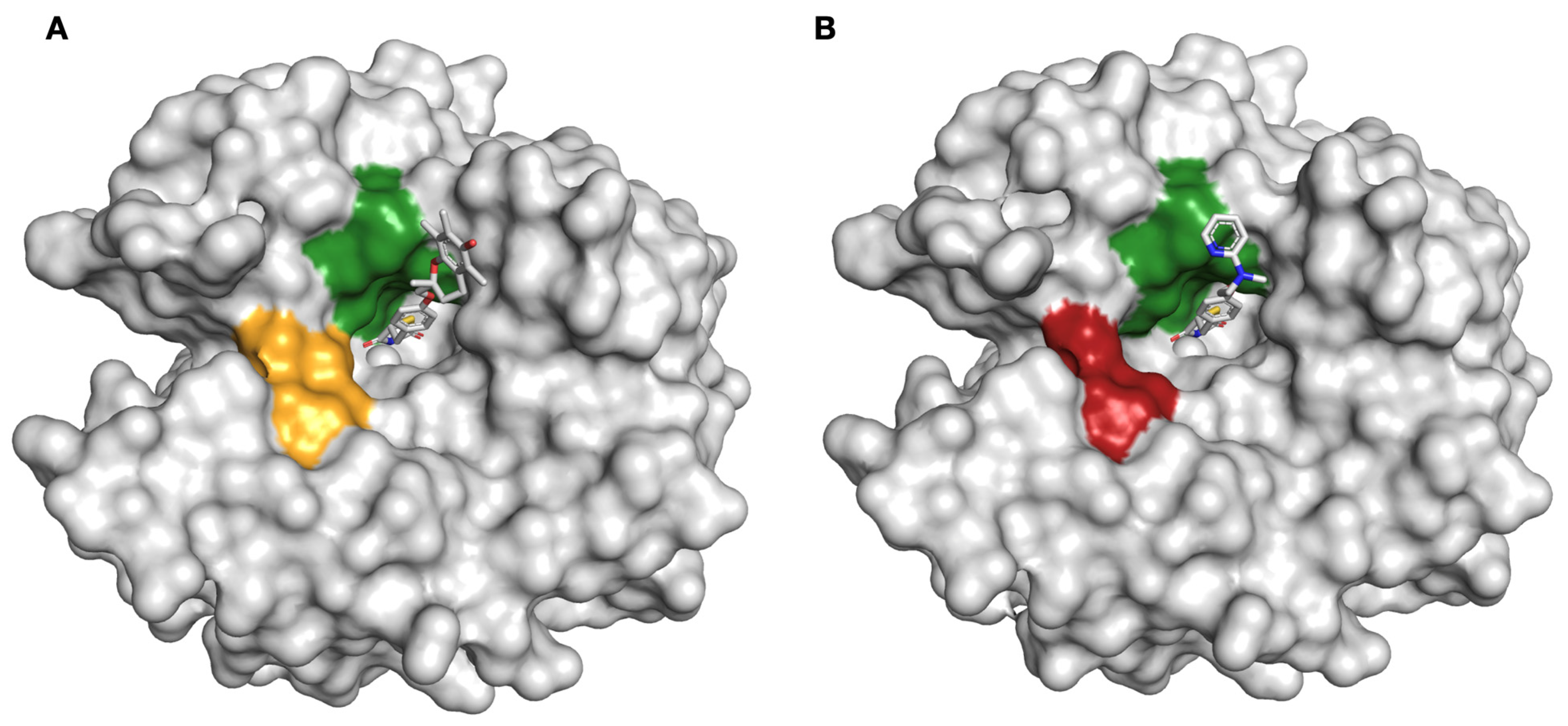Molecules 26 03010 g005