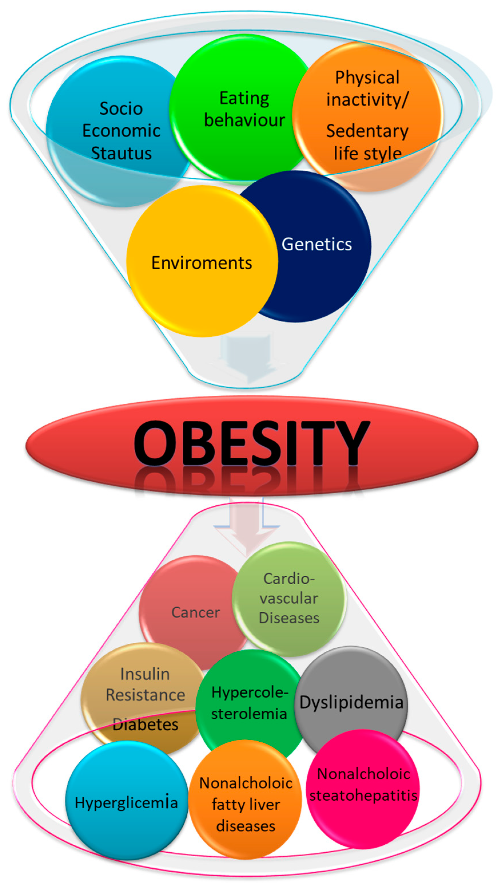 Molecules 26 03014 g001 Molecules 26 03014 g001
