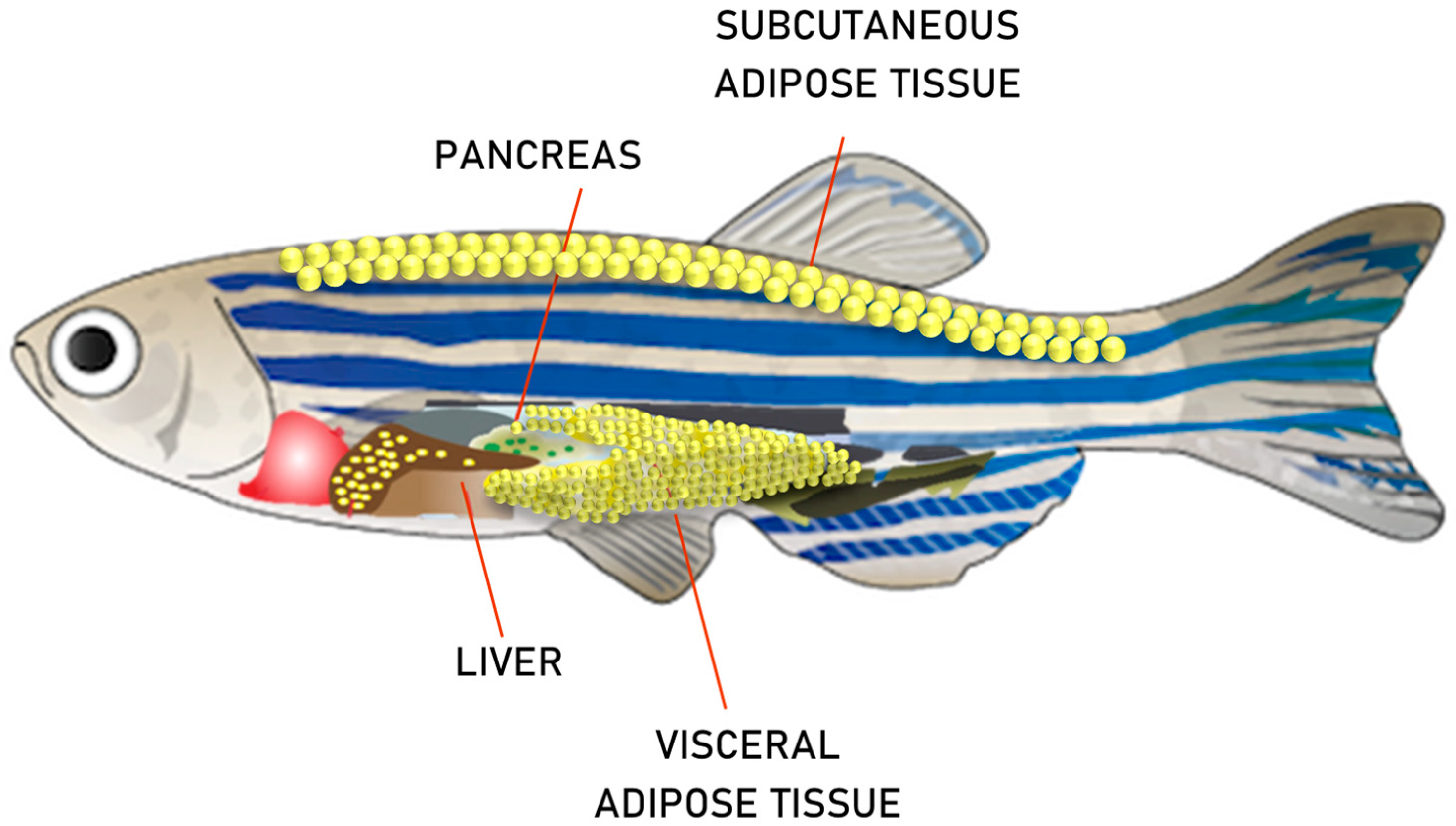 Molecules 26 03014 g002 Molecules 26 03014 g002