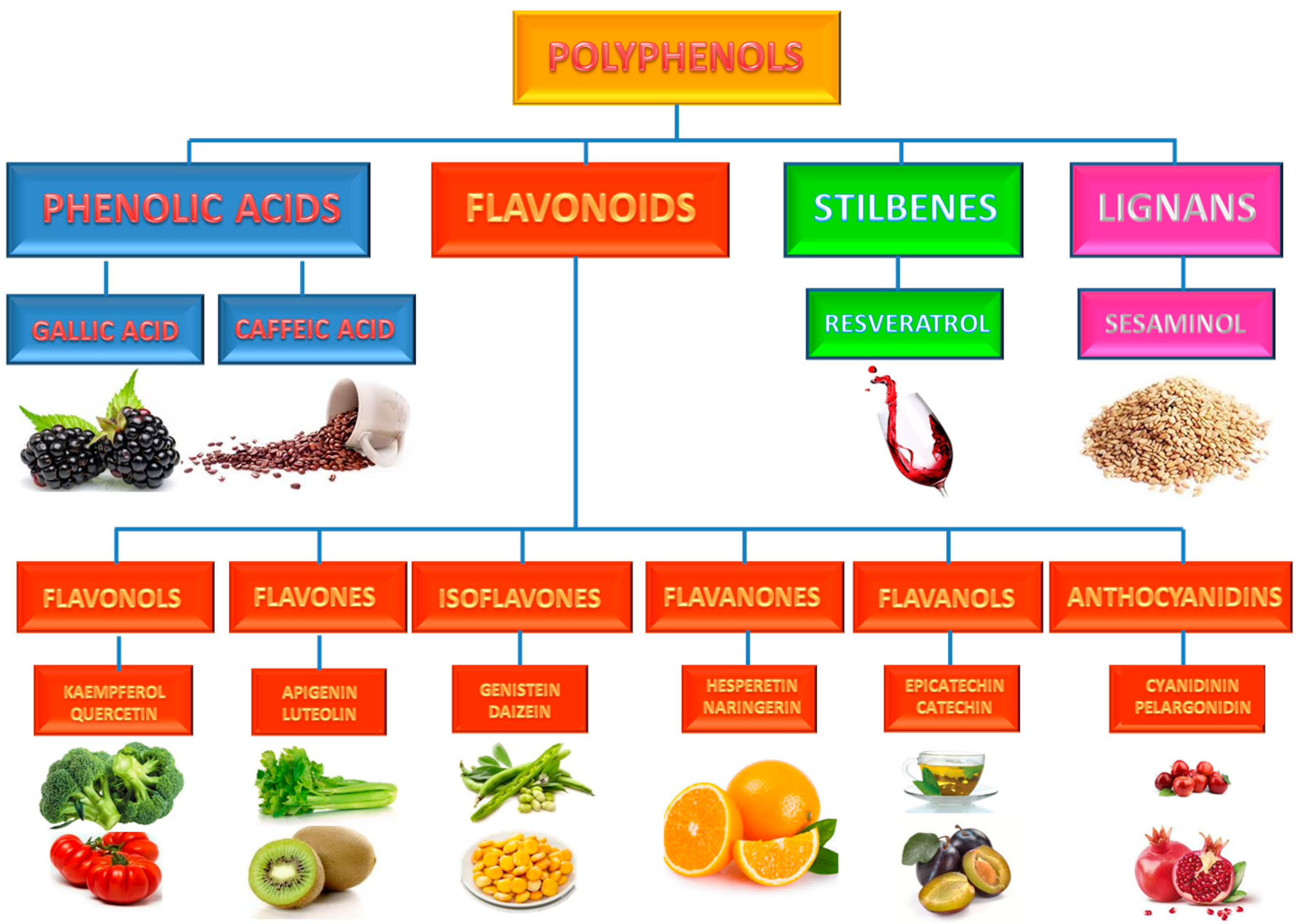 Molecules 26 03014 g003 Molecules 26 03014 g003