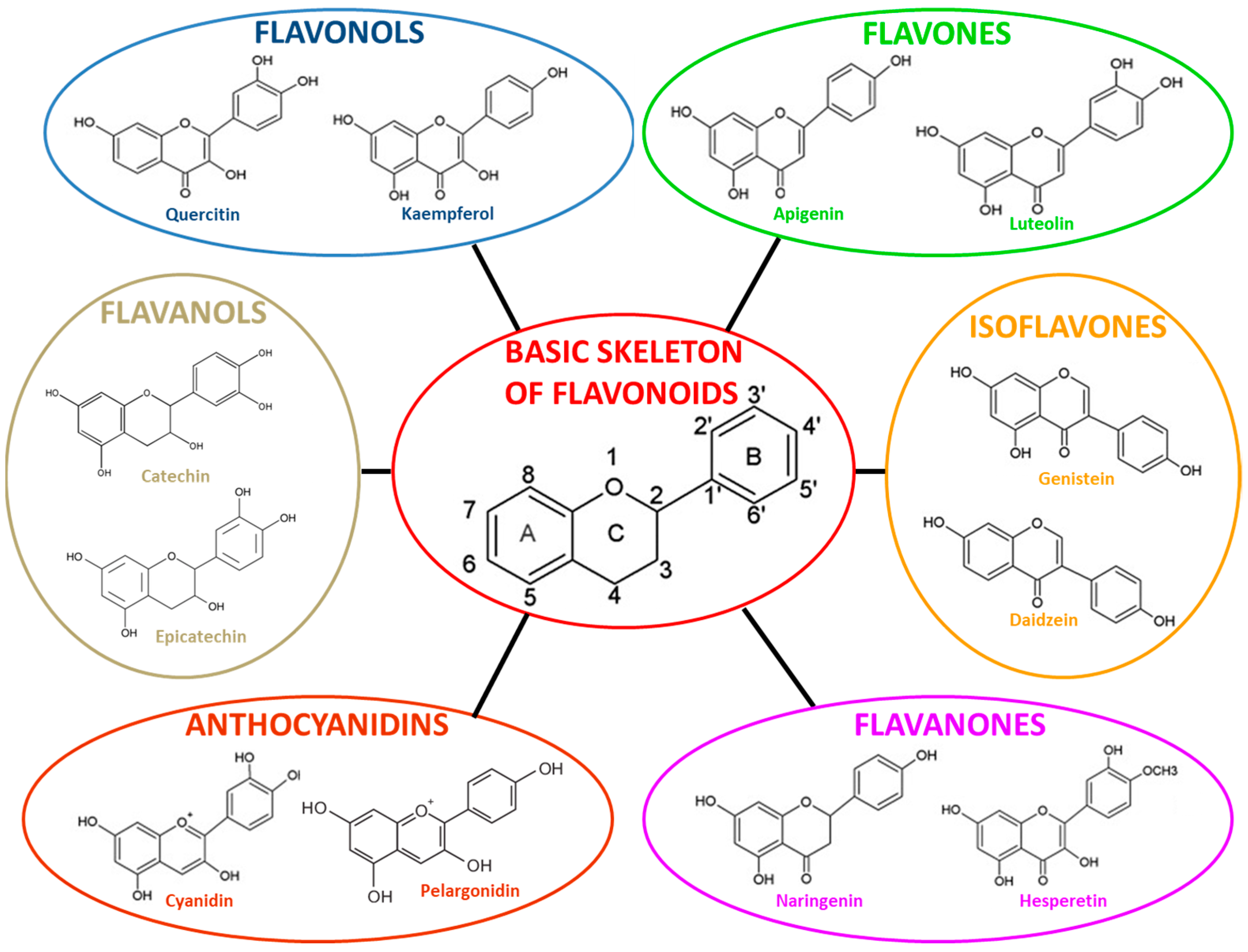 Molecules 26 03014 g004 Molecules 26 03014 g004